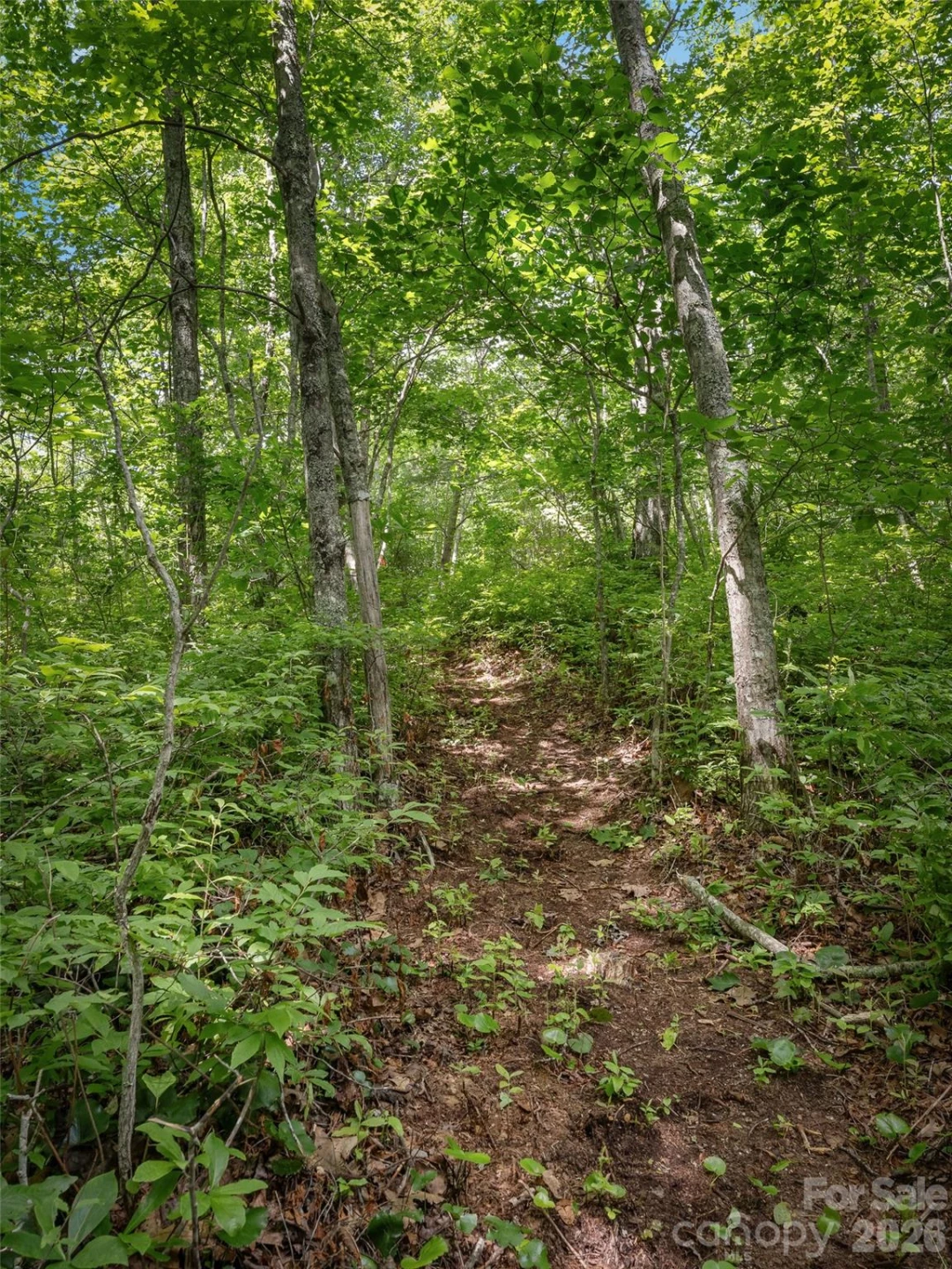 Lot 42 Spencer Lane #MR42 - Photo 7