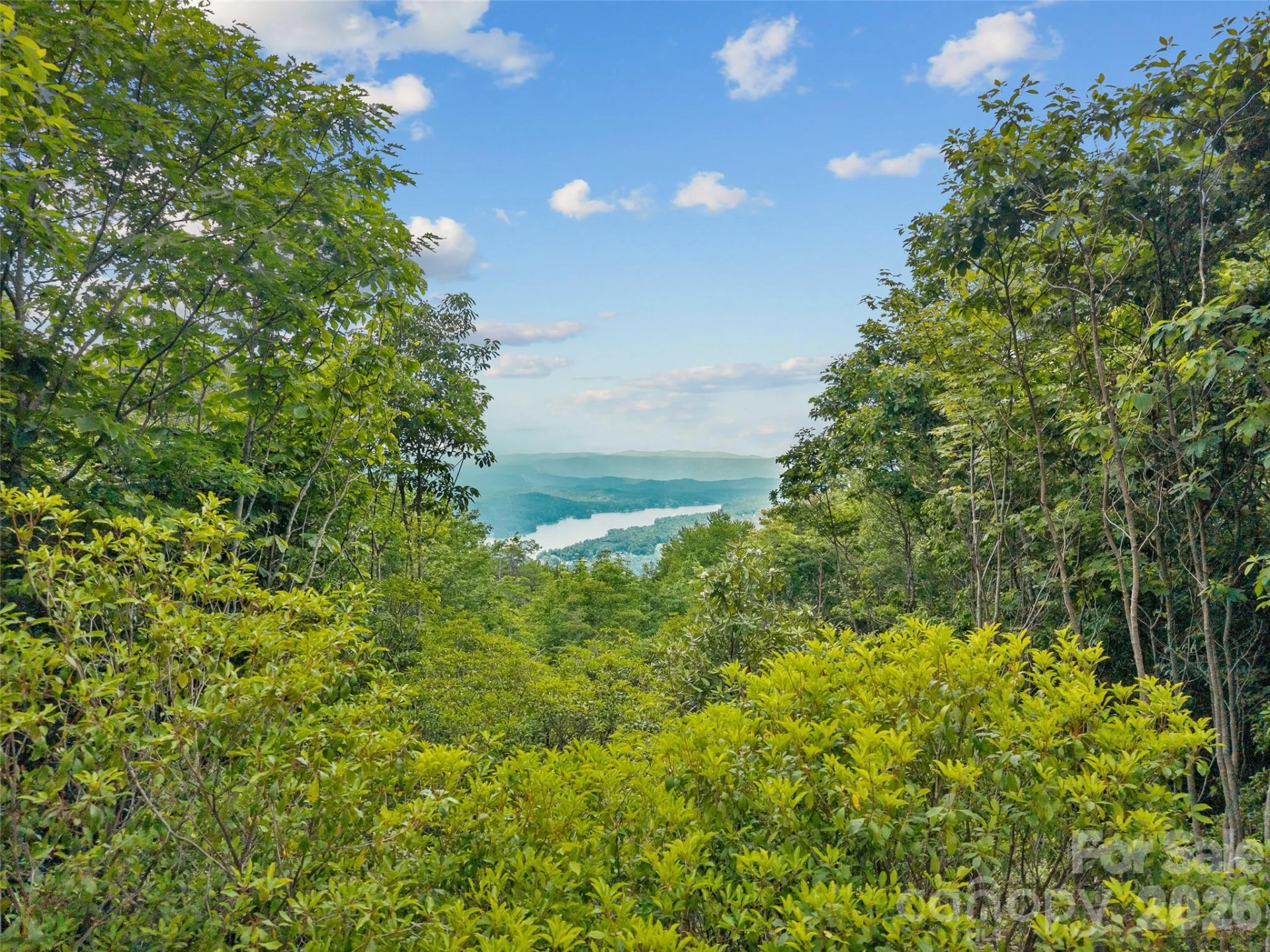 Lot 42 Spencer Lane #MR42 - Photo 9