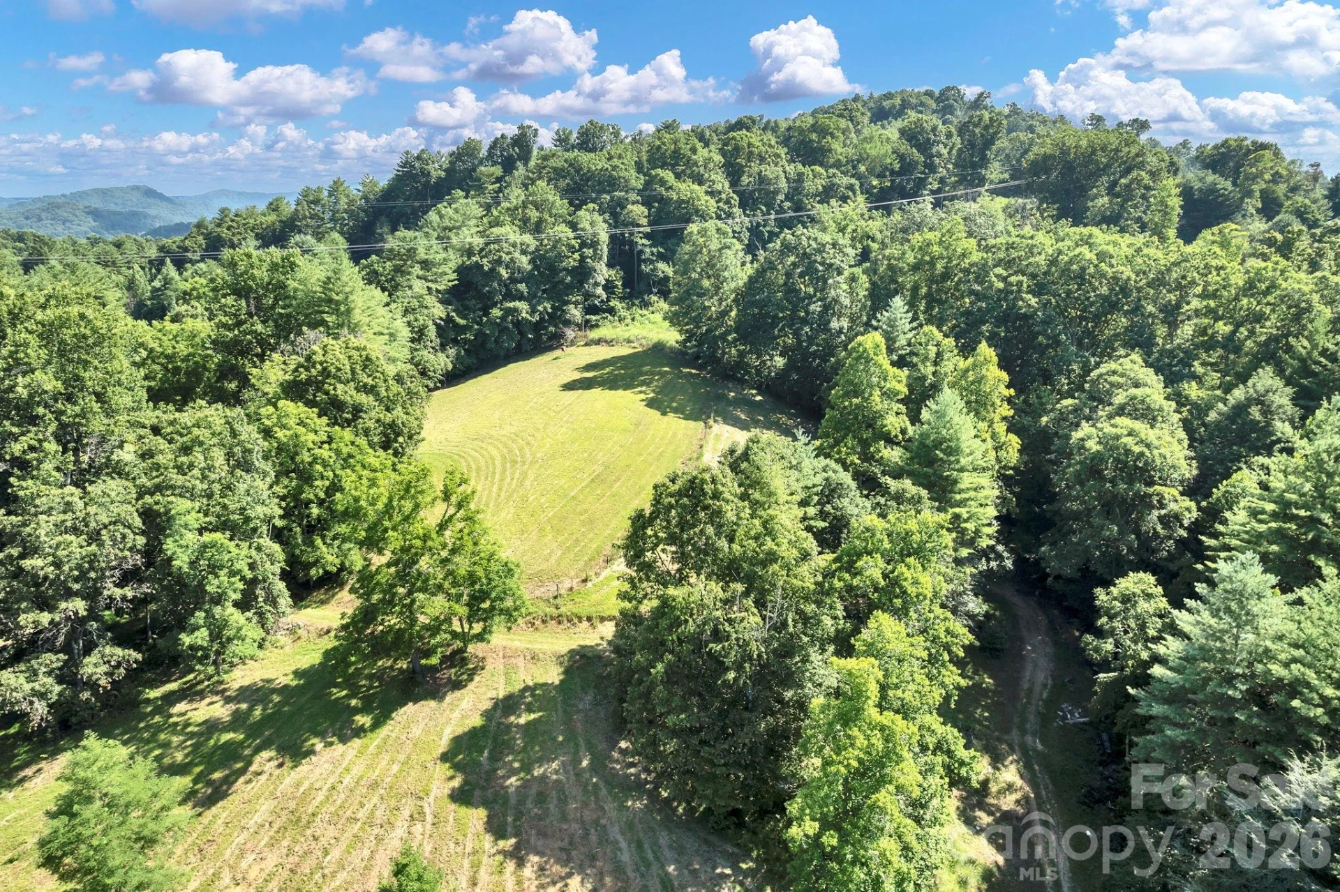 284 Paul Gosnell Road - Photo 3