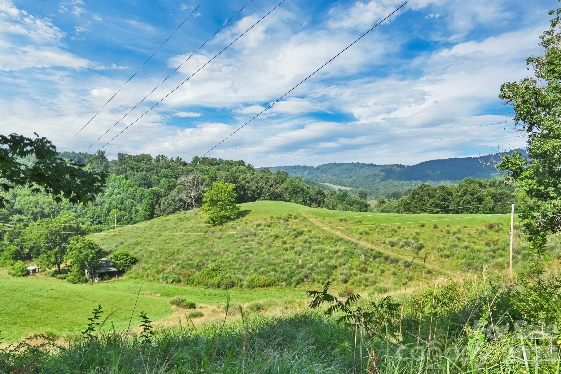 553 Morgan Branch Road - Photo 16