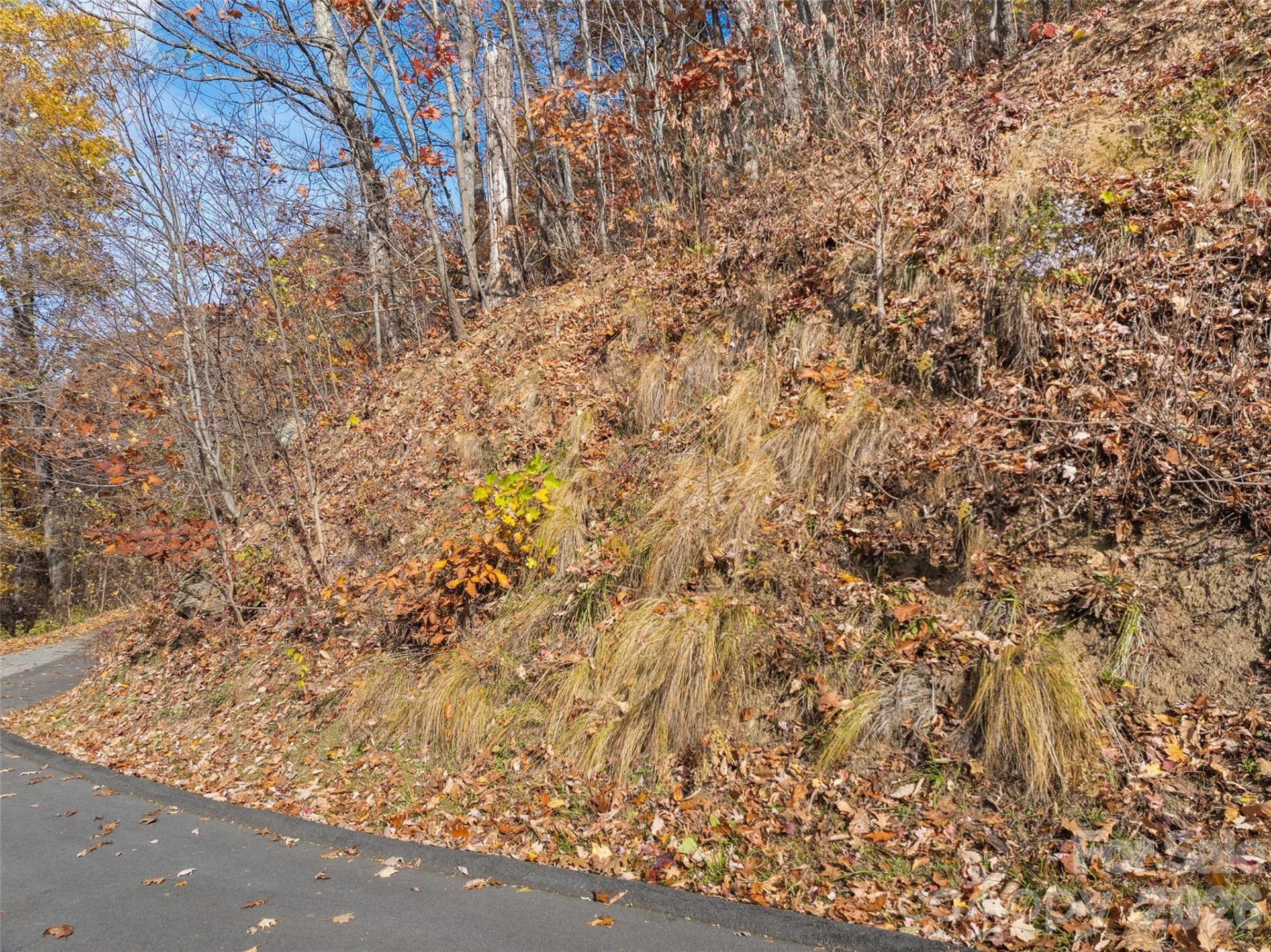 Lot 44 Weatherwatch Drive #44 - Photo 9