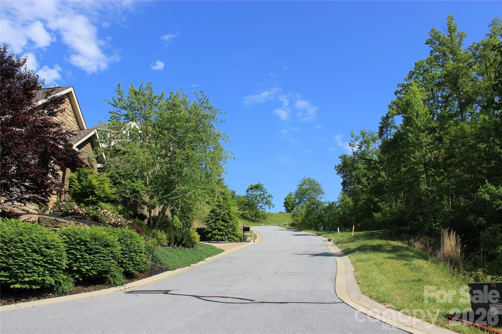 101 Wood Owl Court - Photo 13