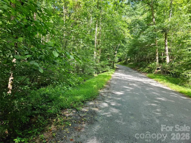0 Sandpiper Avenue, Lake Lure, NC, 28746