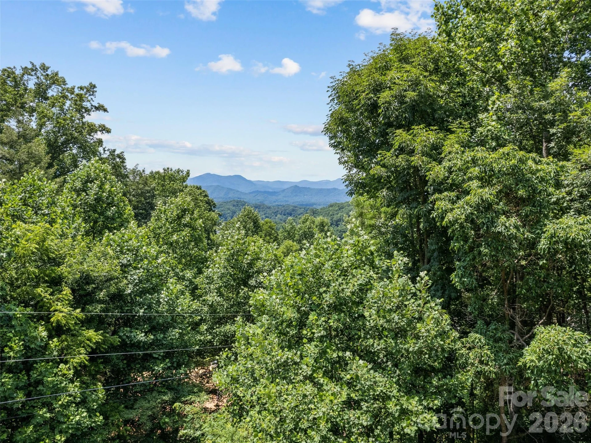 412 Gaddy Heights - Photo 5