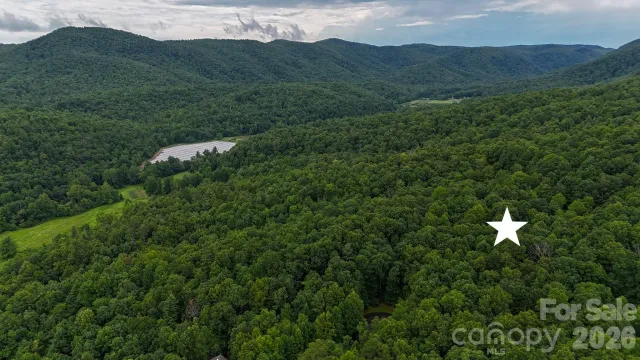 364 Big Bear Trail, Zirconia, NC, 28790