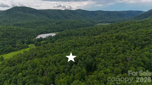 365 Big Bear Trail, Zirconia, NC, 28790