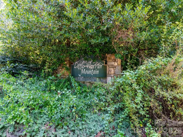 00 Rhododendron Drive, Saluda, NC, 28773