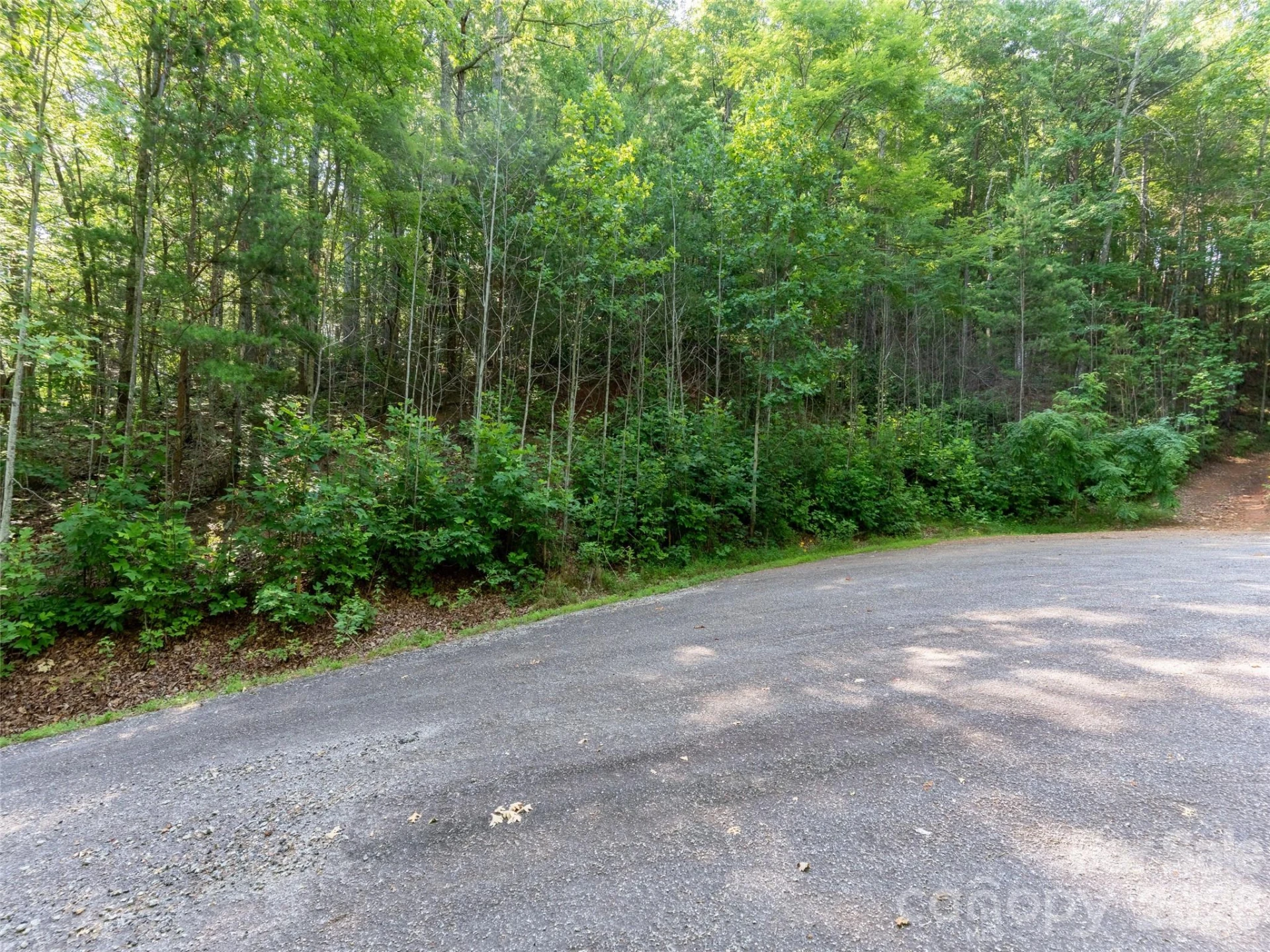 00 Rhododendron Drive #15 & 16 - Photo 2
