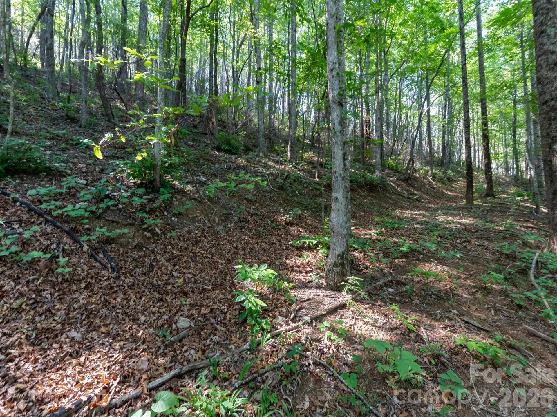00 Rhododendron Drive #15 & 16 - Photo 13