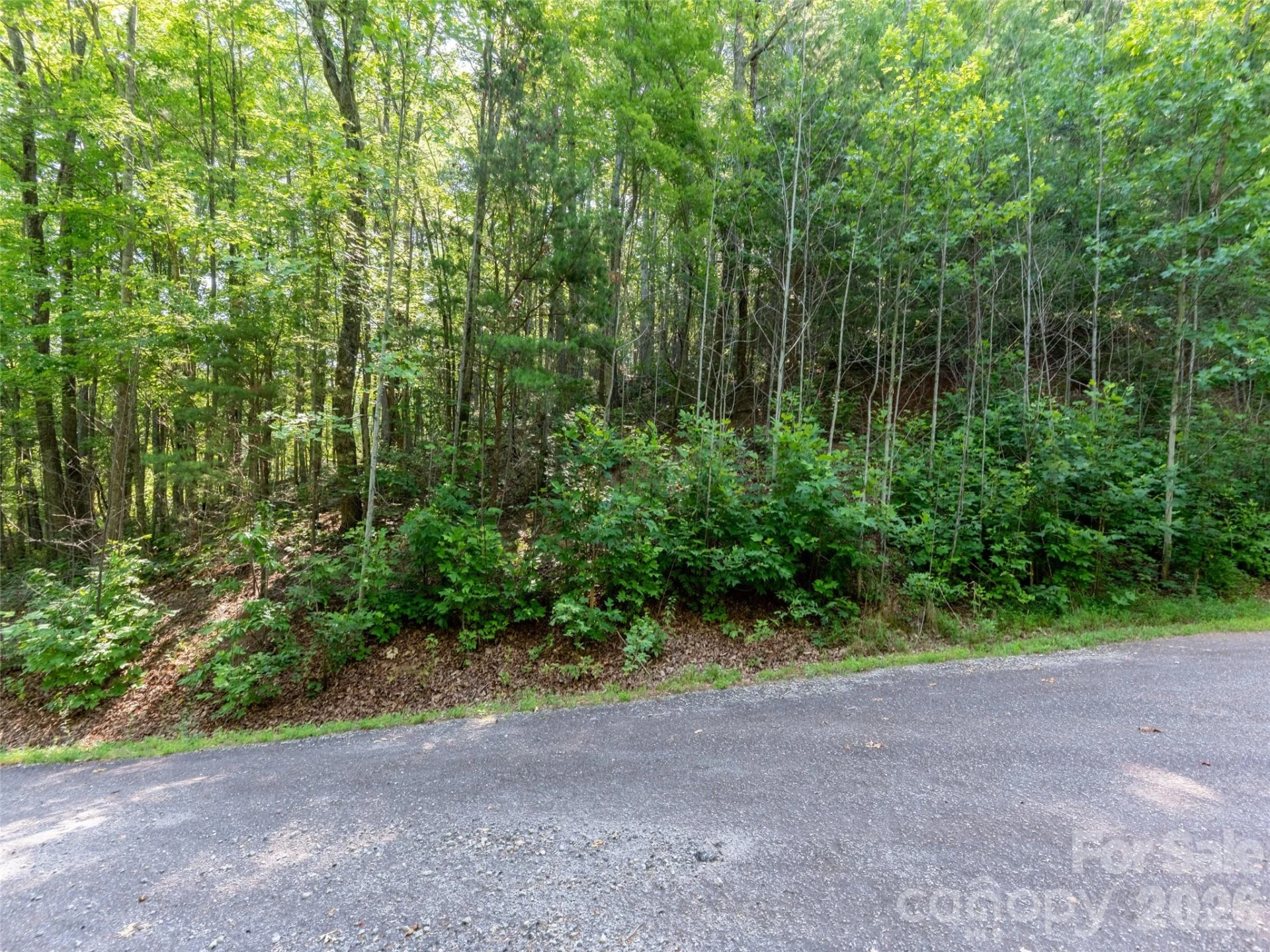00 Rhododendron Drive #15 & 16 - Photo 3