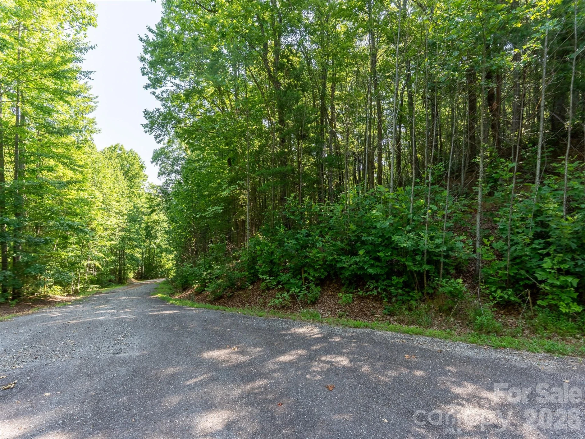 00 Rhododendron Drive #15 & 16 - Photo 5