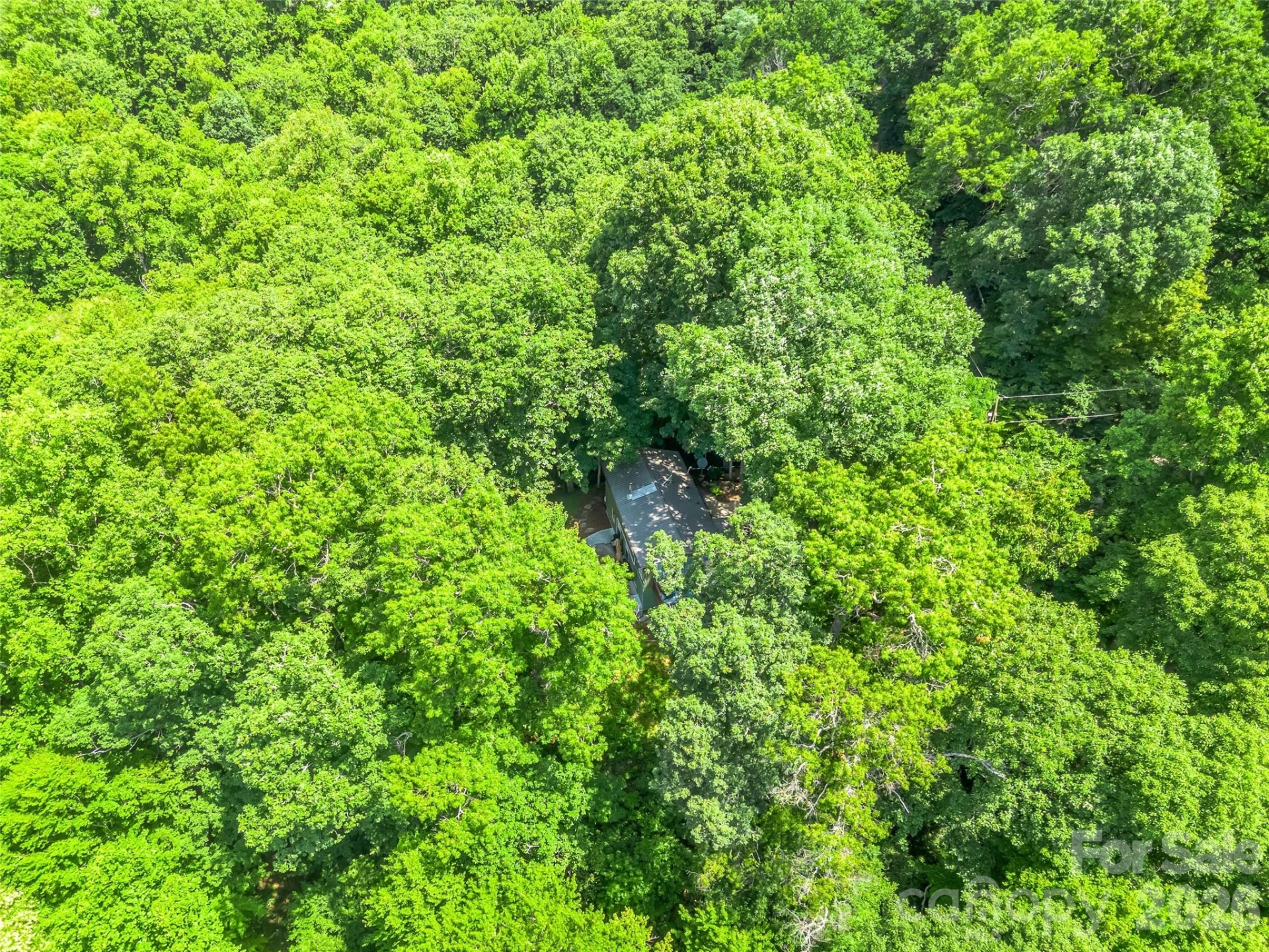 20 Kimberly Road - Photo 46