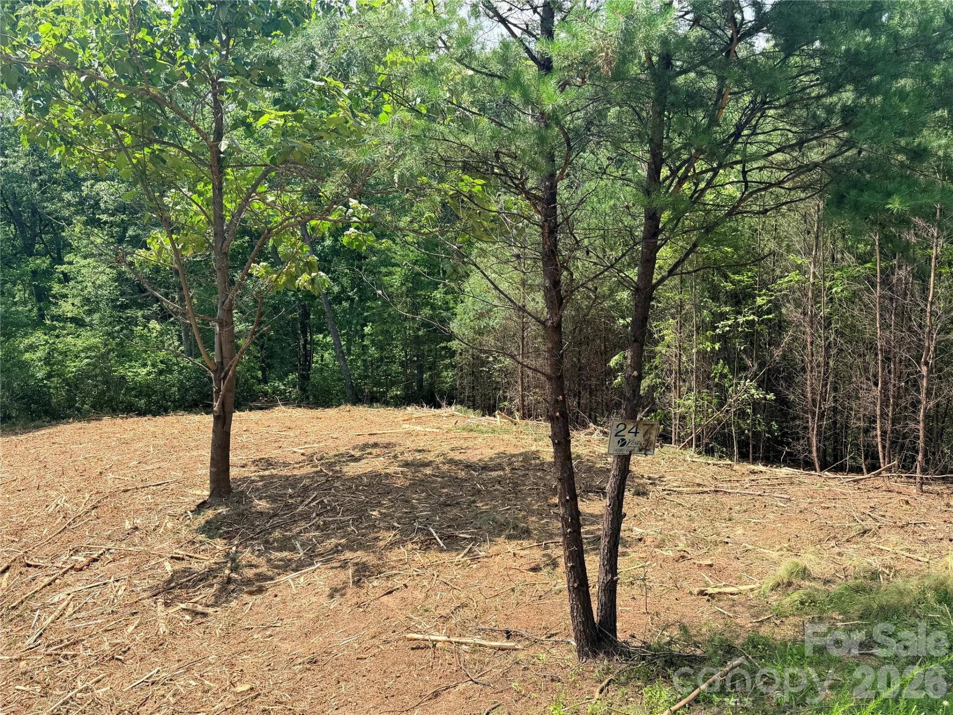 0 Rock Ledge Drive #247 - Photo 3