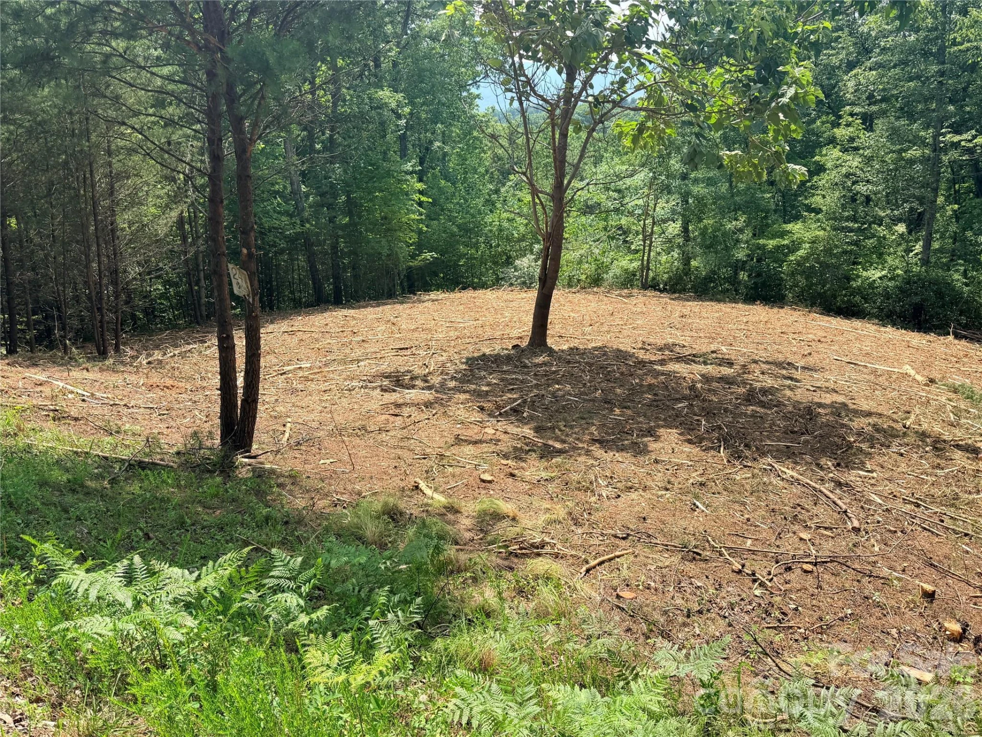 0 Rock Ledge Drive #247 - Photo 4