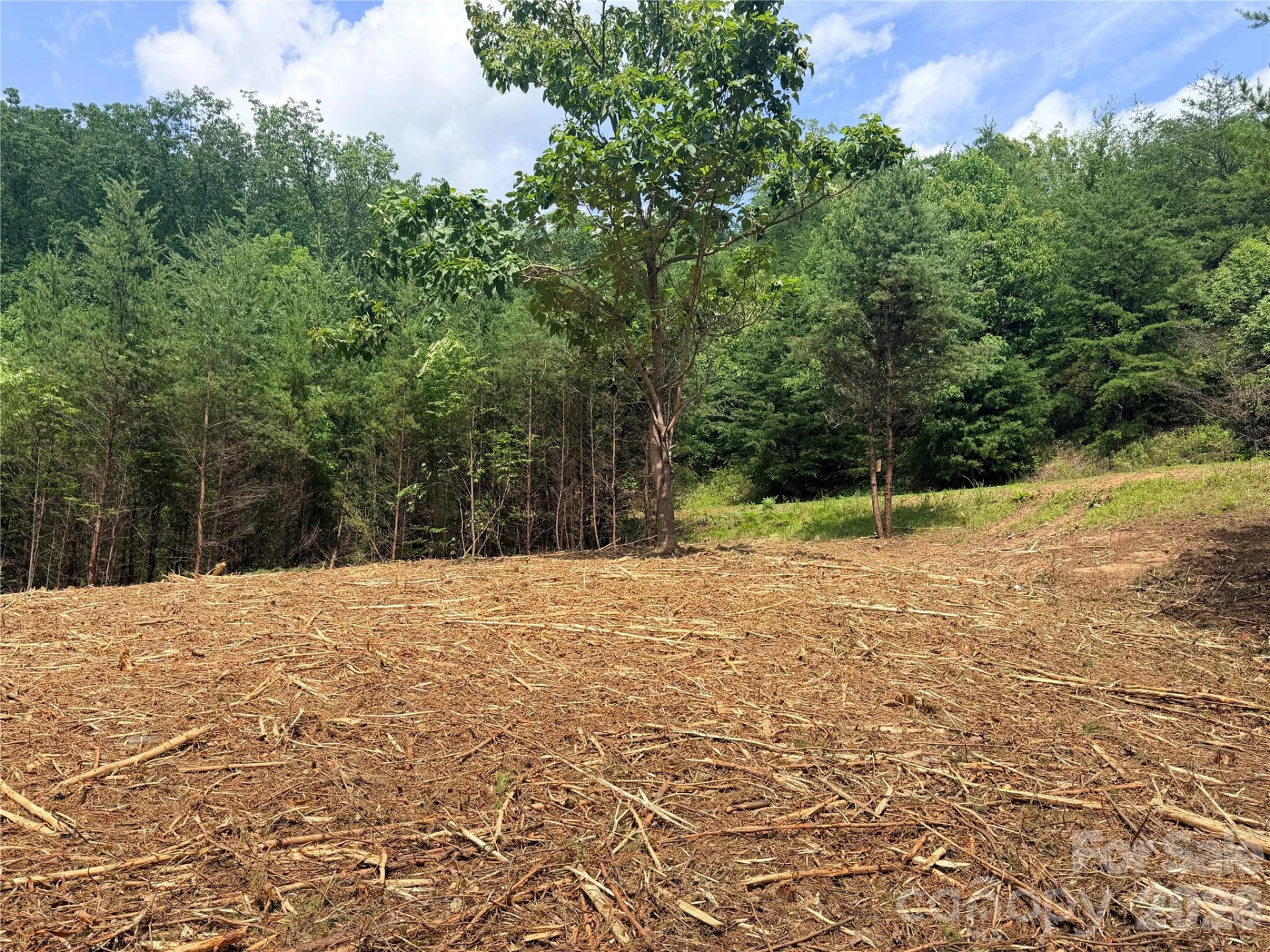 0 Rock Ledge Drive #247 - Photo 5