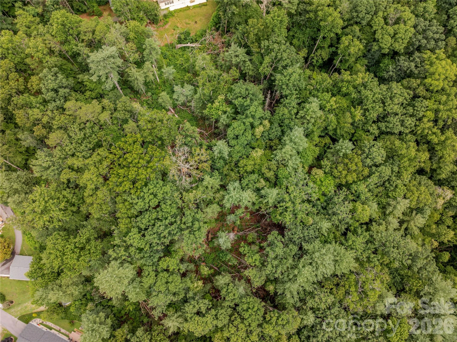 99999 Reynolds School Road - Photo 4