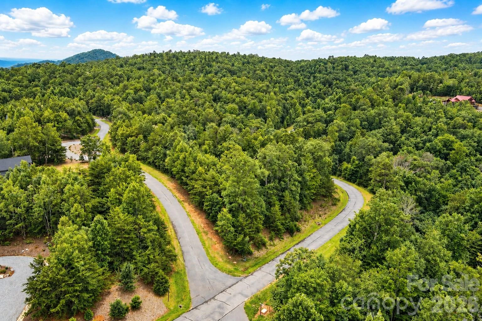 V/L Mountain Vista Drive - Photo 4