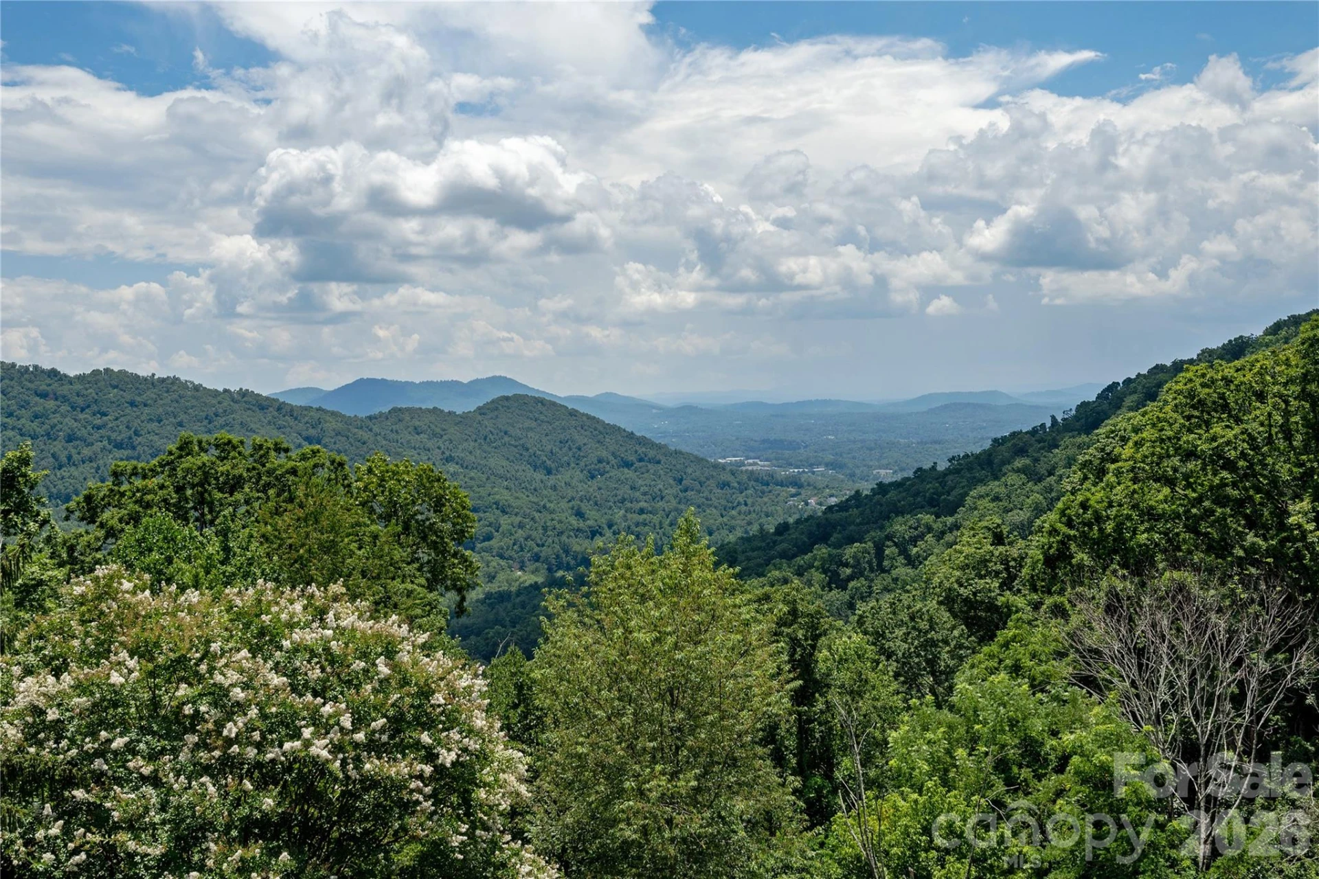 811 Town Mountain Road - Photo 2