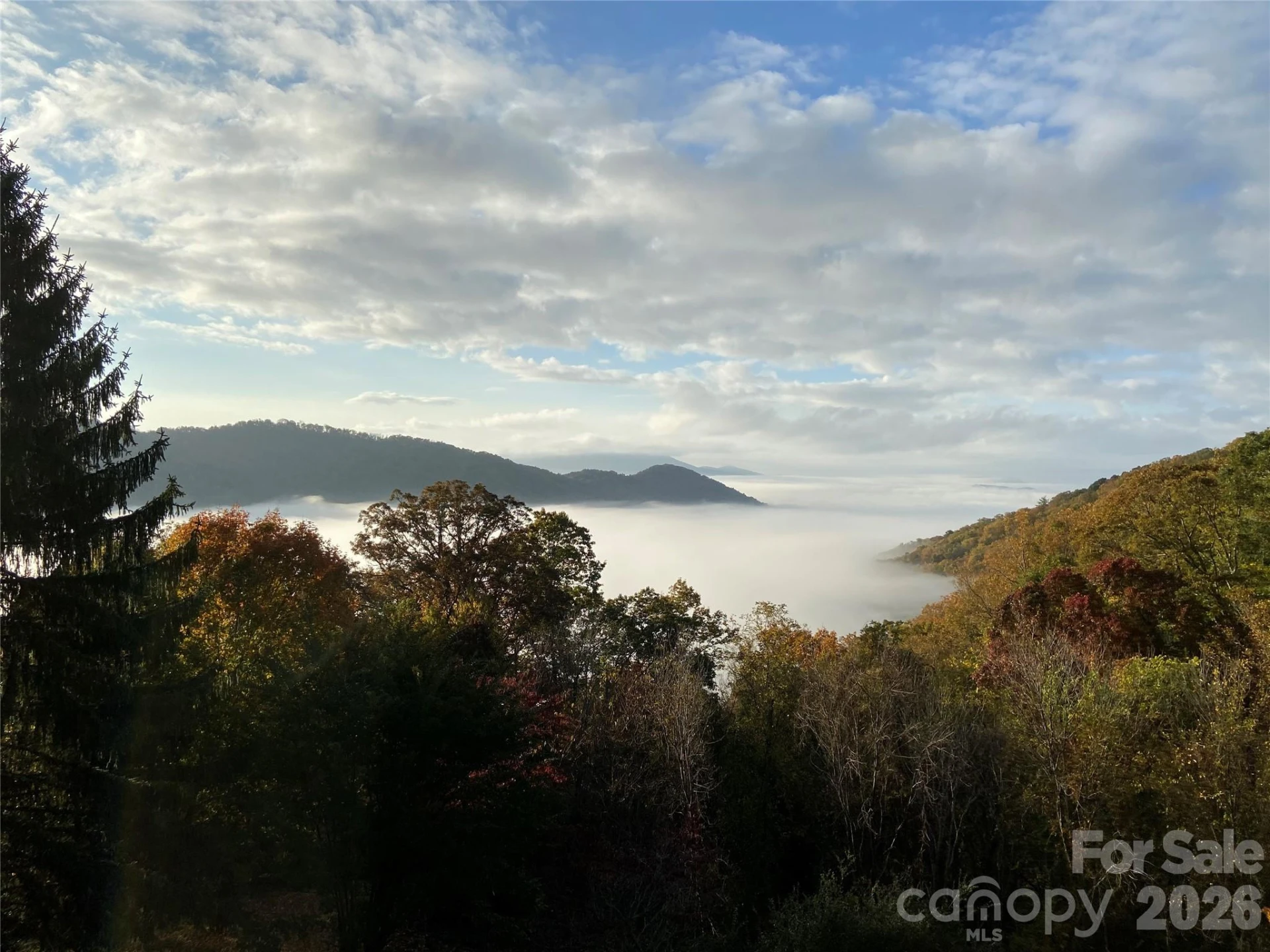 811 Town Mountain Road - Photo 3