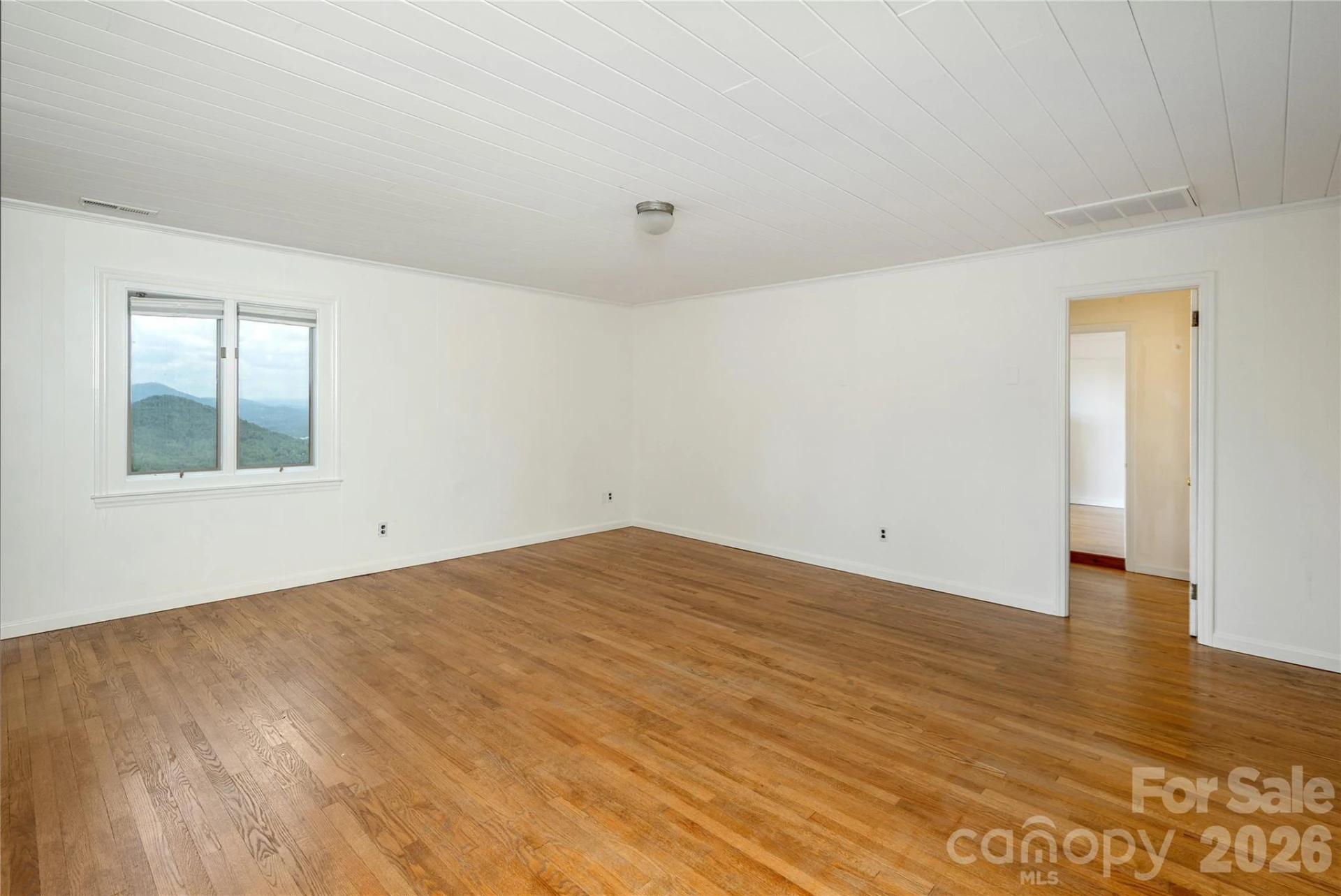 811 Town Mountain Road - Photo 8