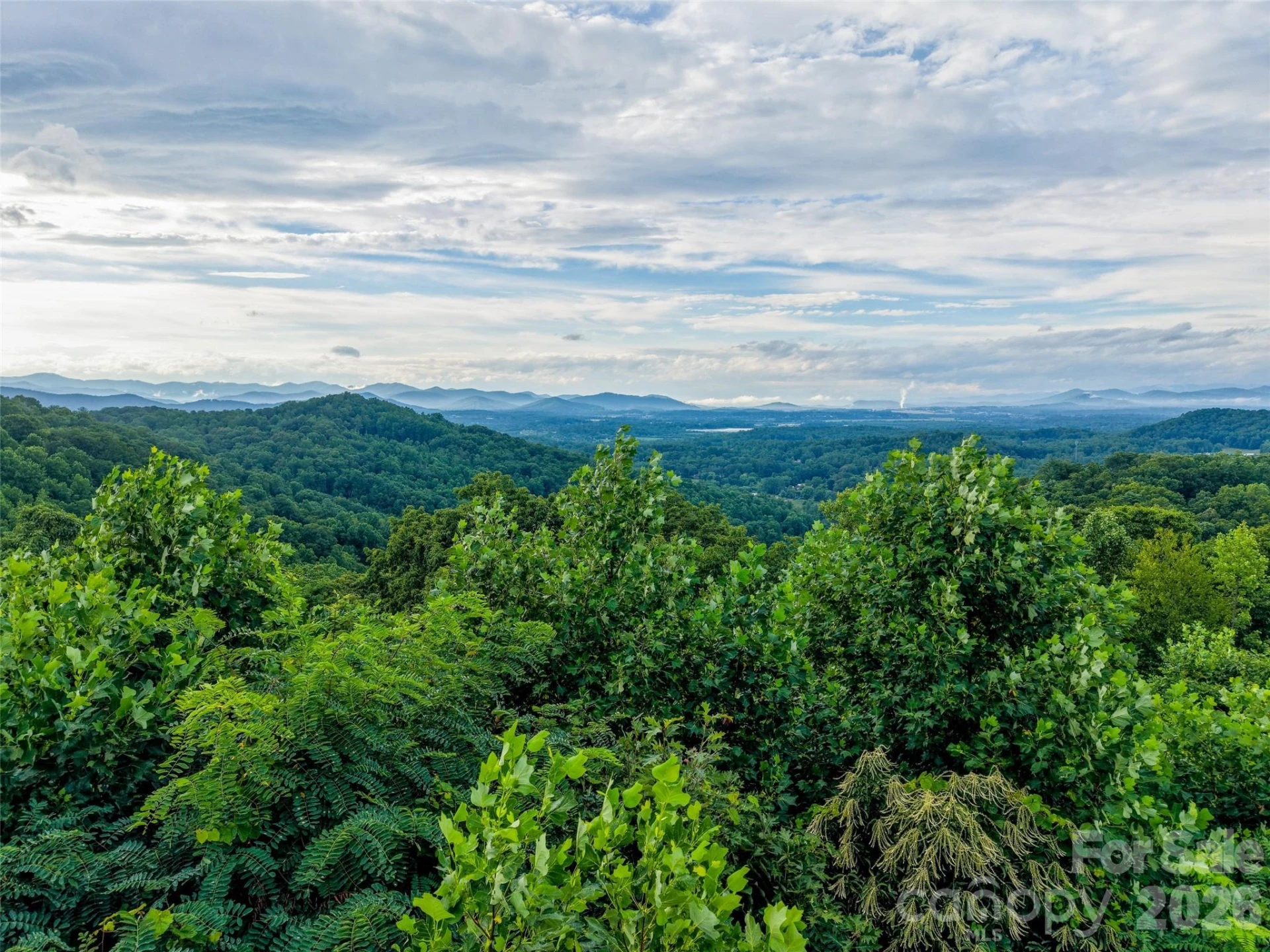 Lot 14 Skydance Trail - Photo 2