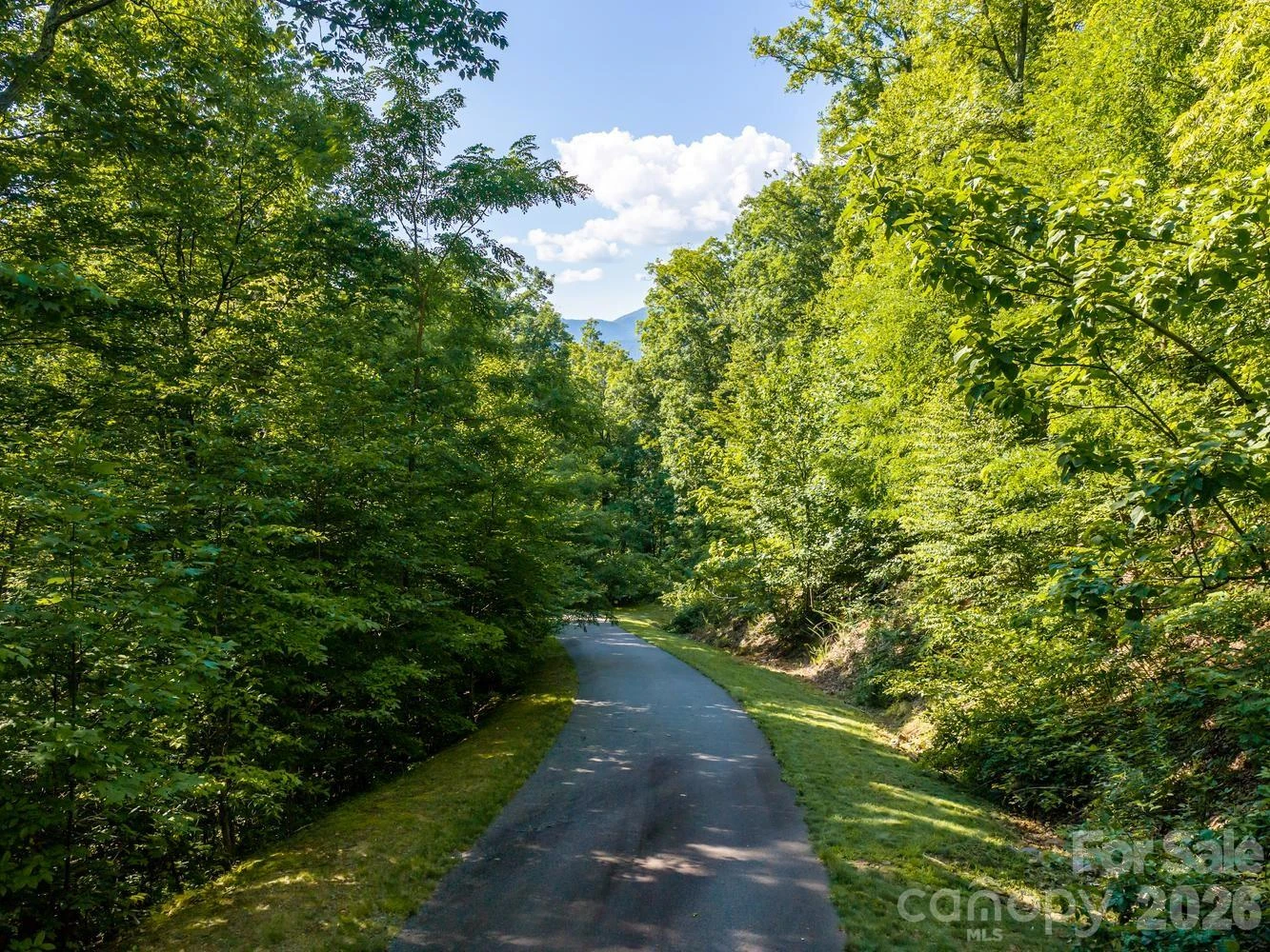 1230 Arborcrest Way - Photo 12