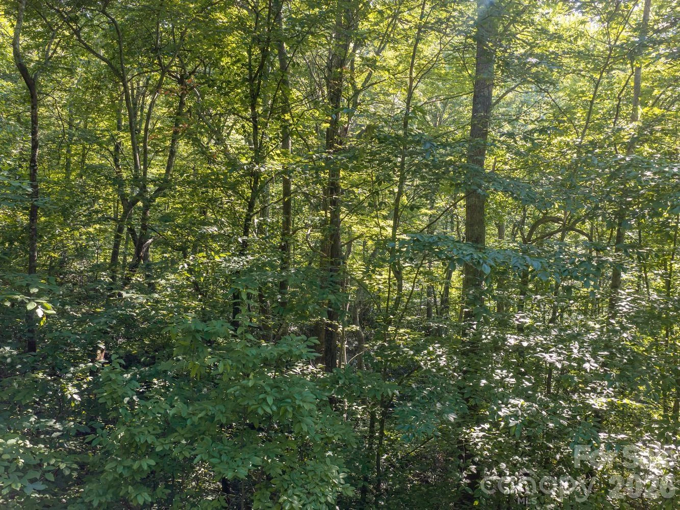 1230 Arborcrest Way - Photo 13