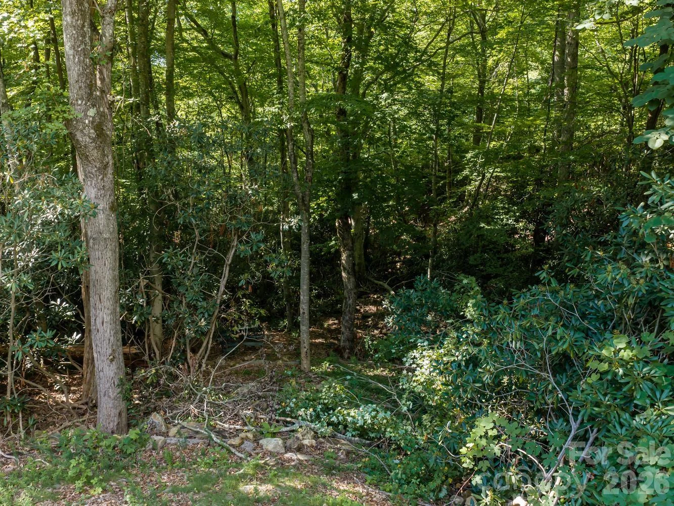 1230 Arborcrest Way - Photo 17