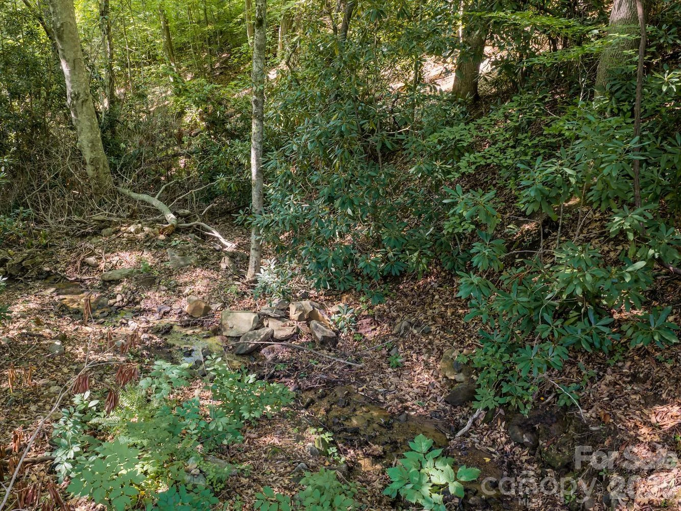 1230 Arborcrest Way - Photo 19