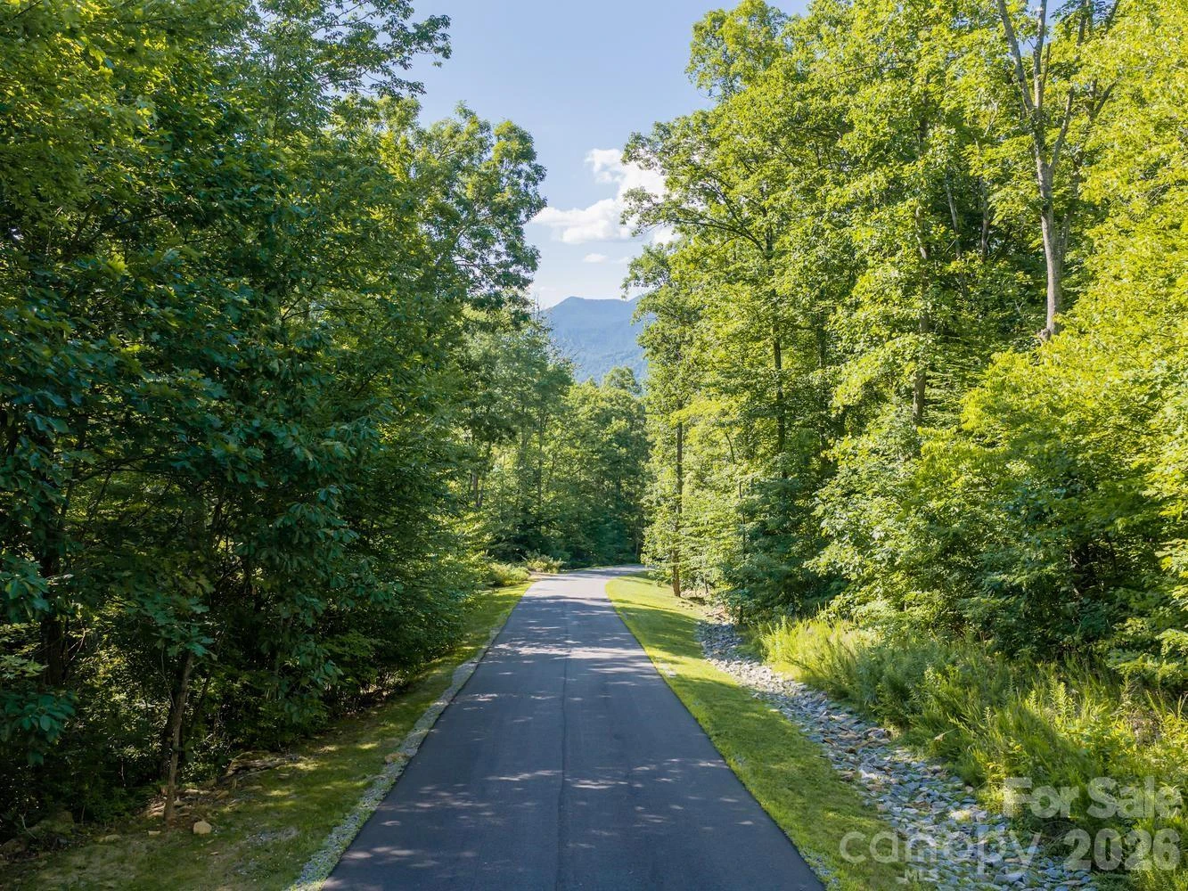 1230 Arborcrest Way - Photo 24