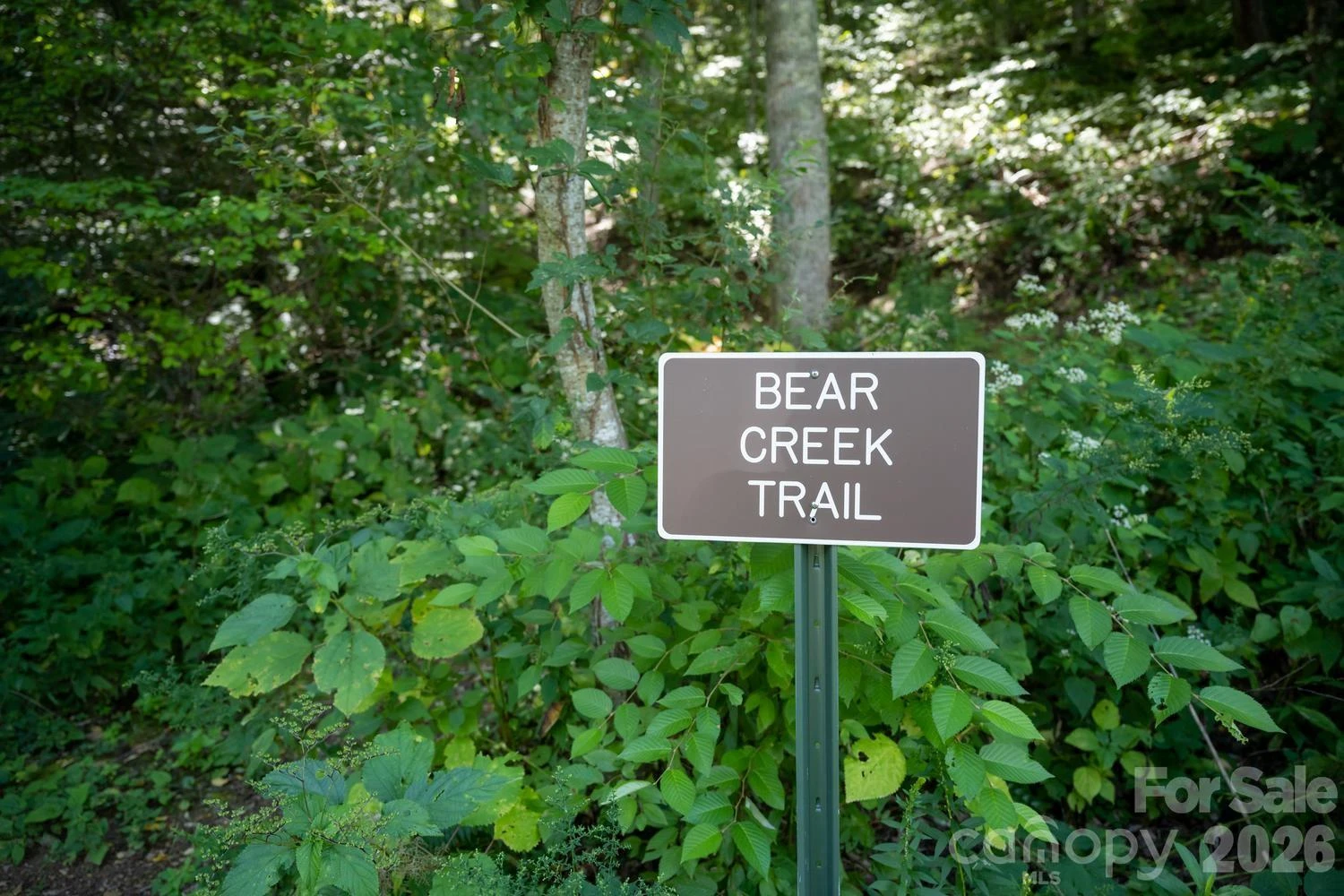 1230 Arborcrest Way - Photo 33