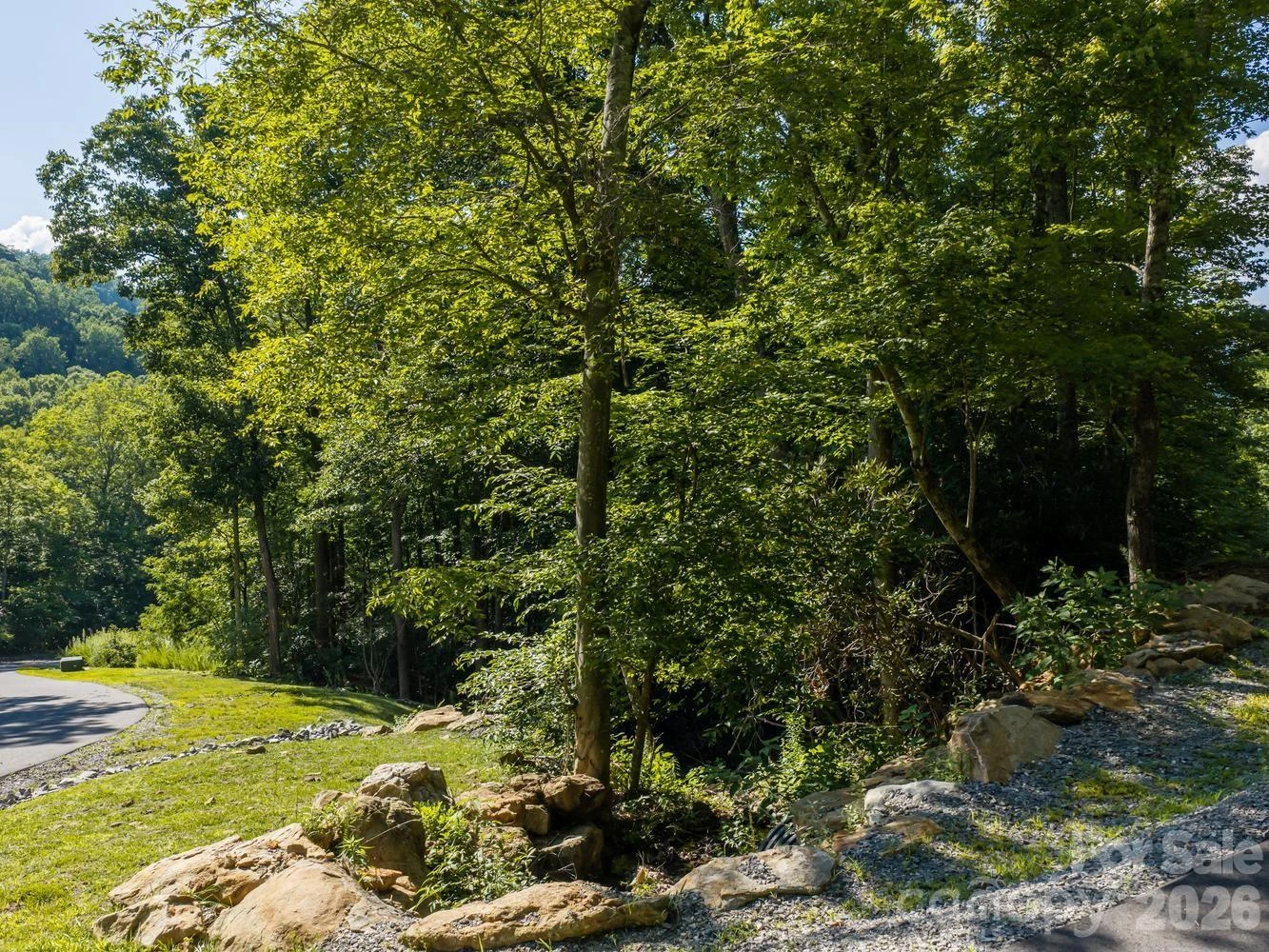 1230 Arborcrest Way - Photo 5