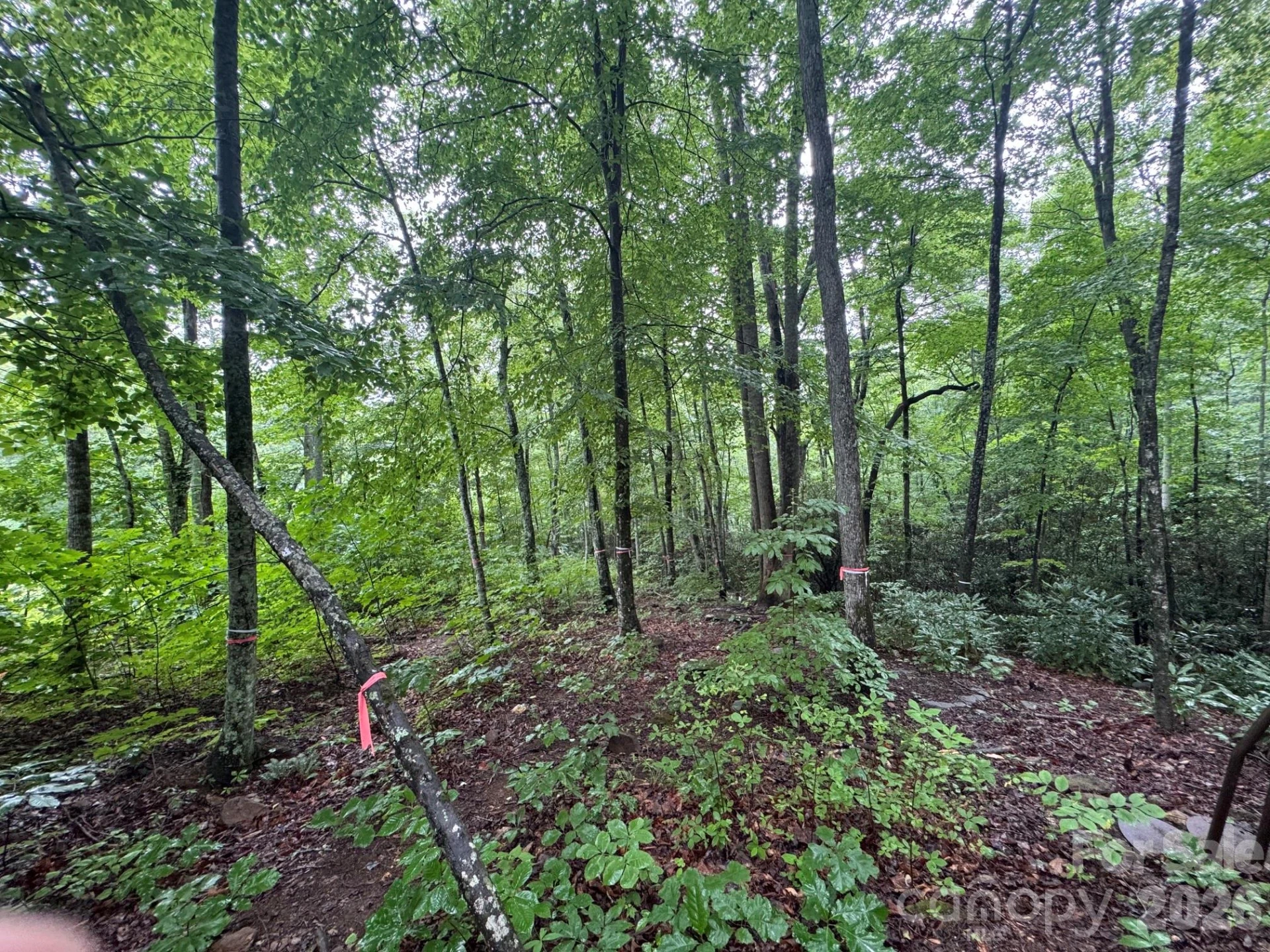 1230 Arborcrest Way - Photo 7