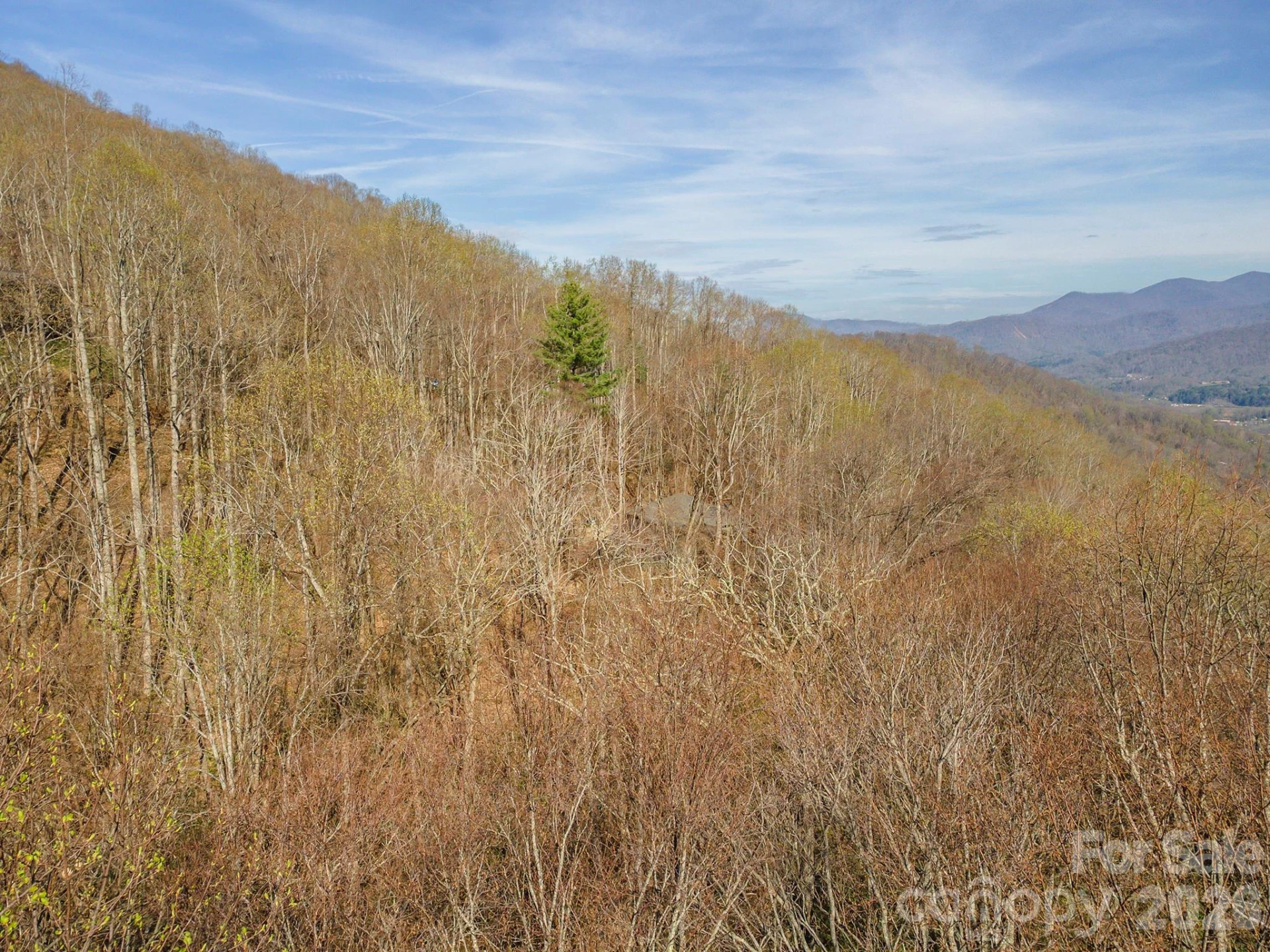 1279 Arborcrest Way #38 - Photo 14
