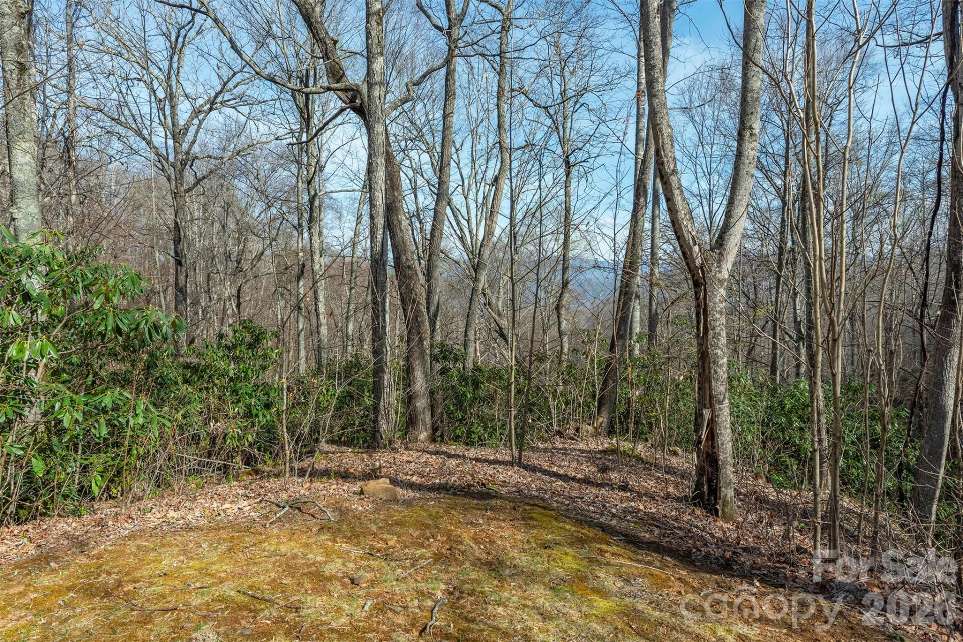 1279 Arborcrest Way #38 - Photo 24