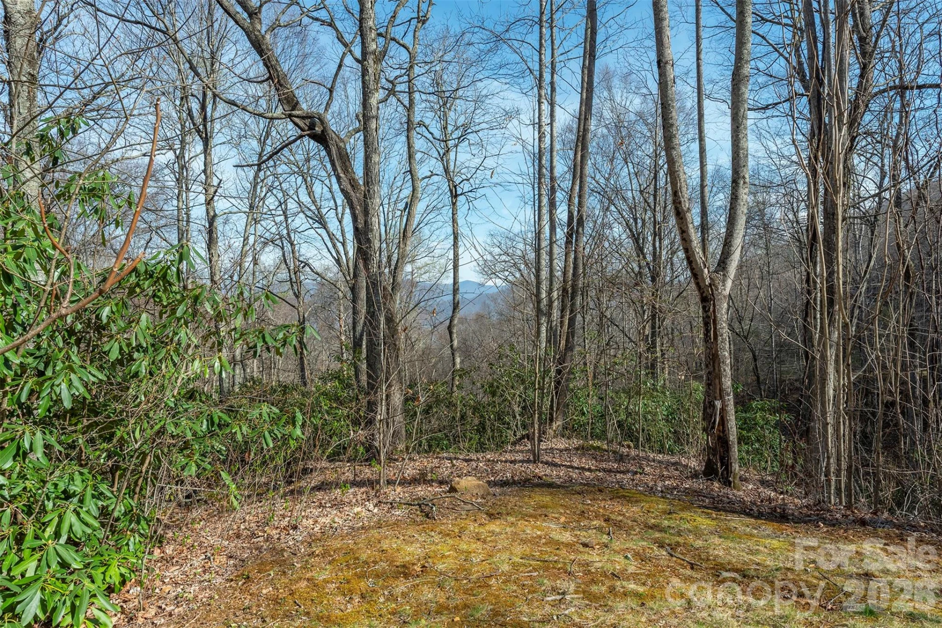 1279 Arborcrest Way #38 - Photo 25