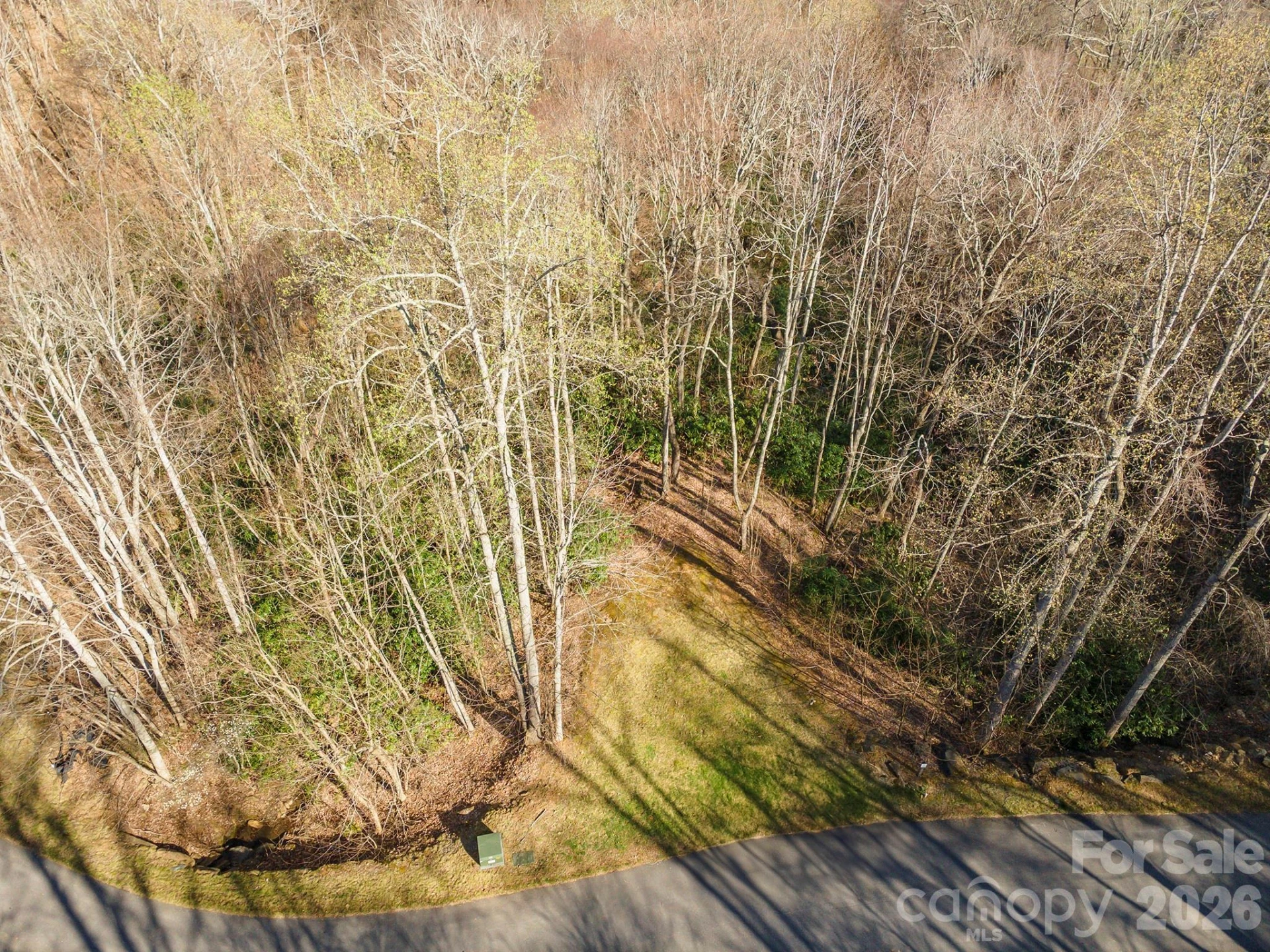 1279 Arborcrest Way #38 - Photo 4