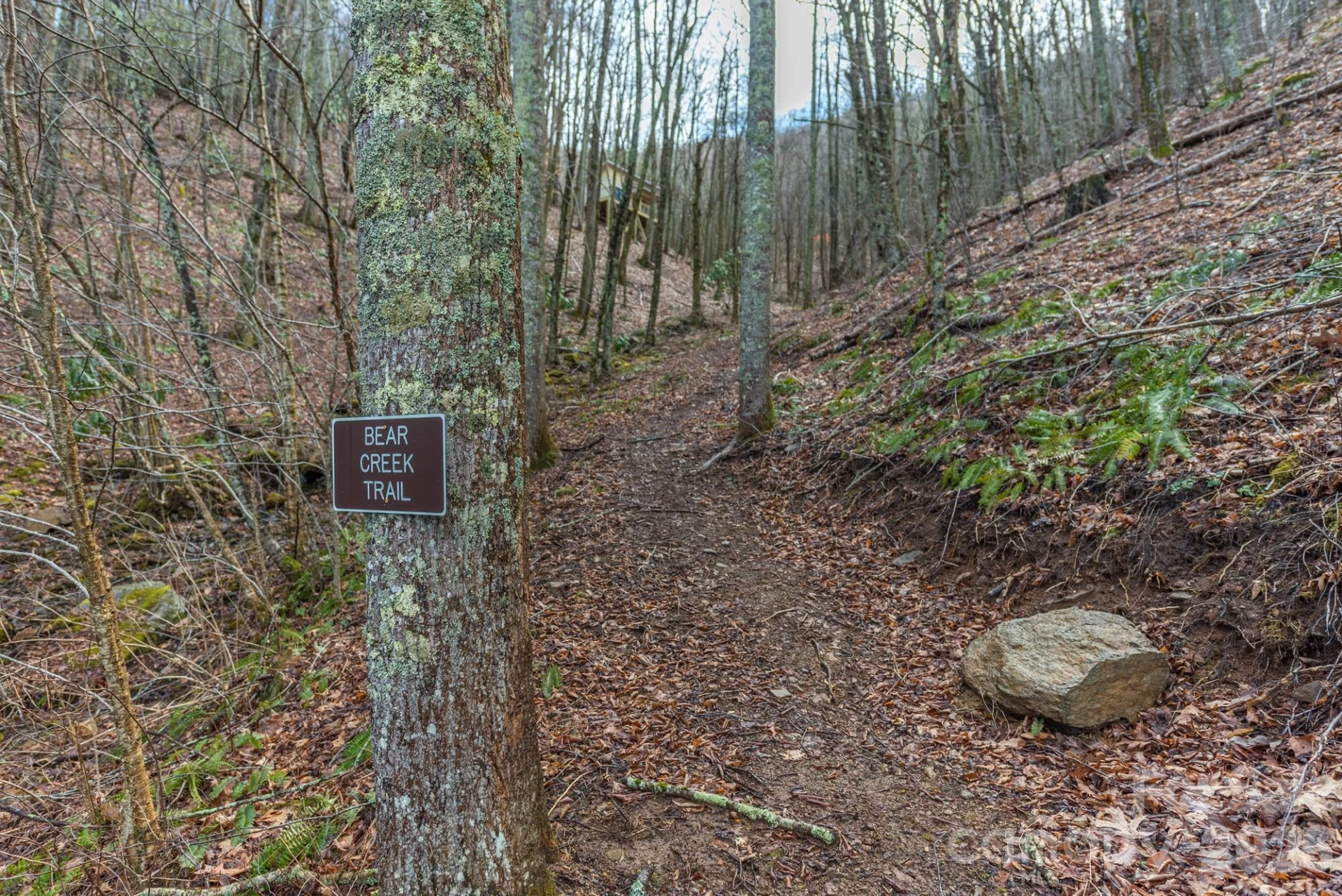 1279 Arborcrest Way #38 - Photo 38