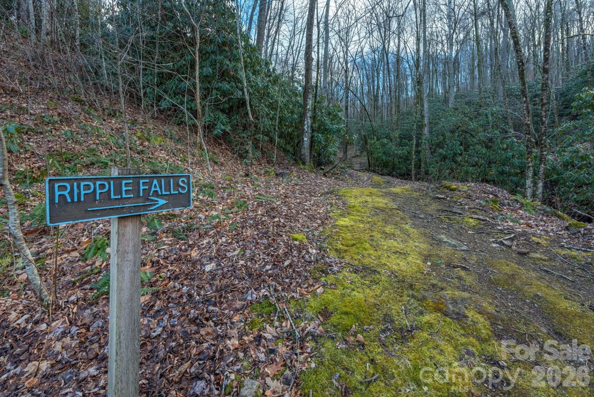 1279 Arborcrest Way #38 - Photo 40