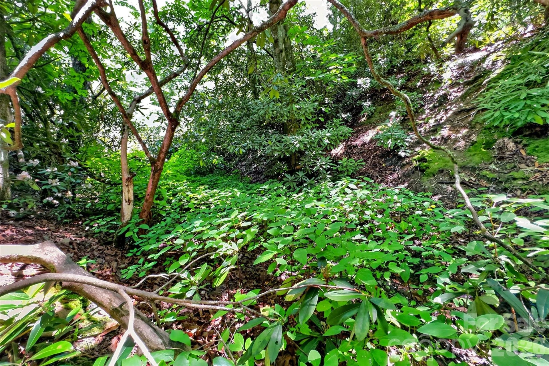 TBD Durham Avenue - Photo 12