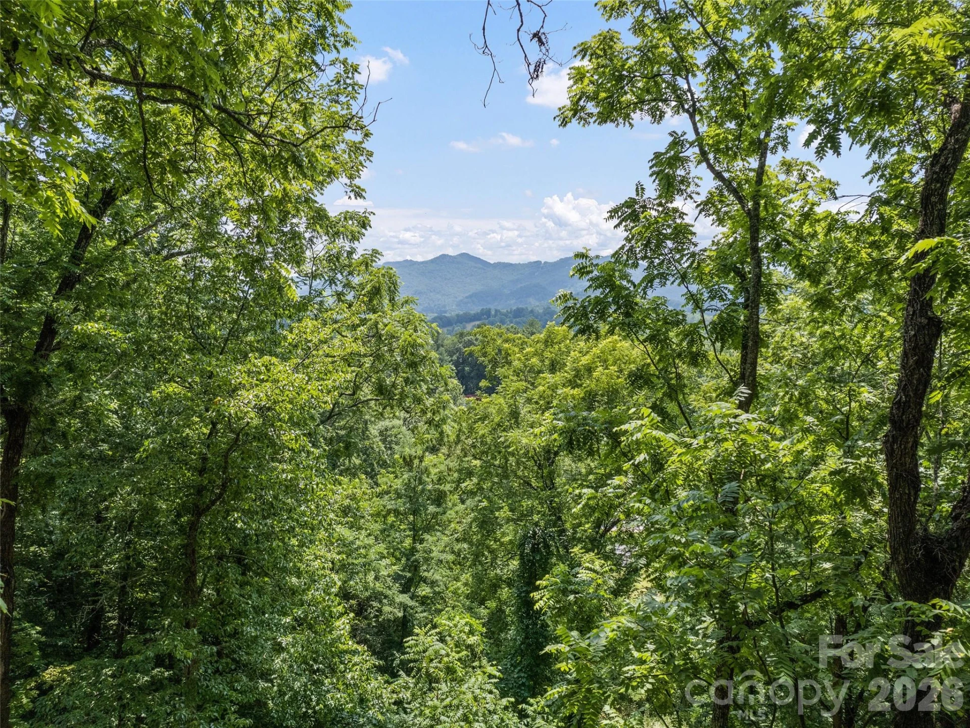 145 Hiaway Trail - Photo 10