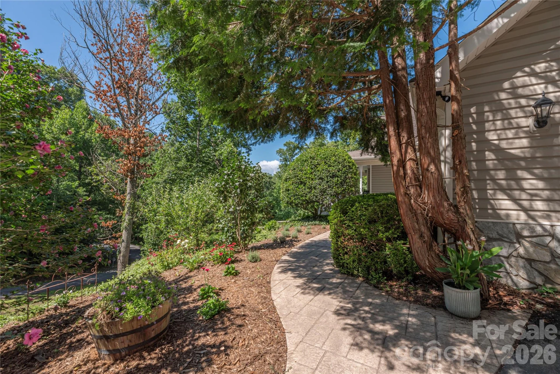 602 Hidden Springs Drive - Photo 3