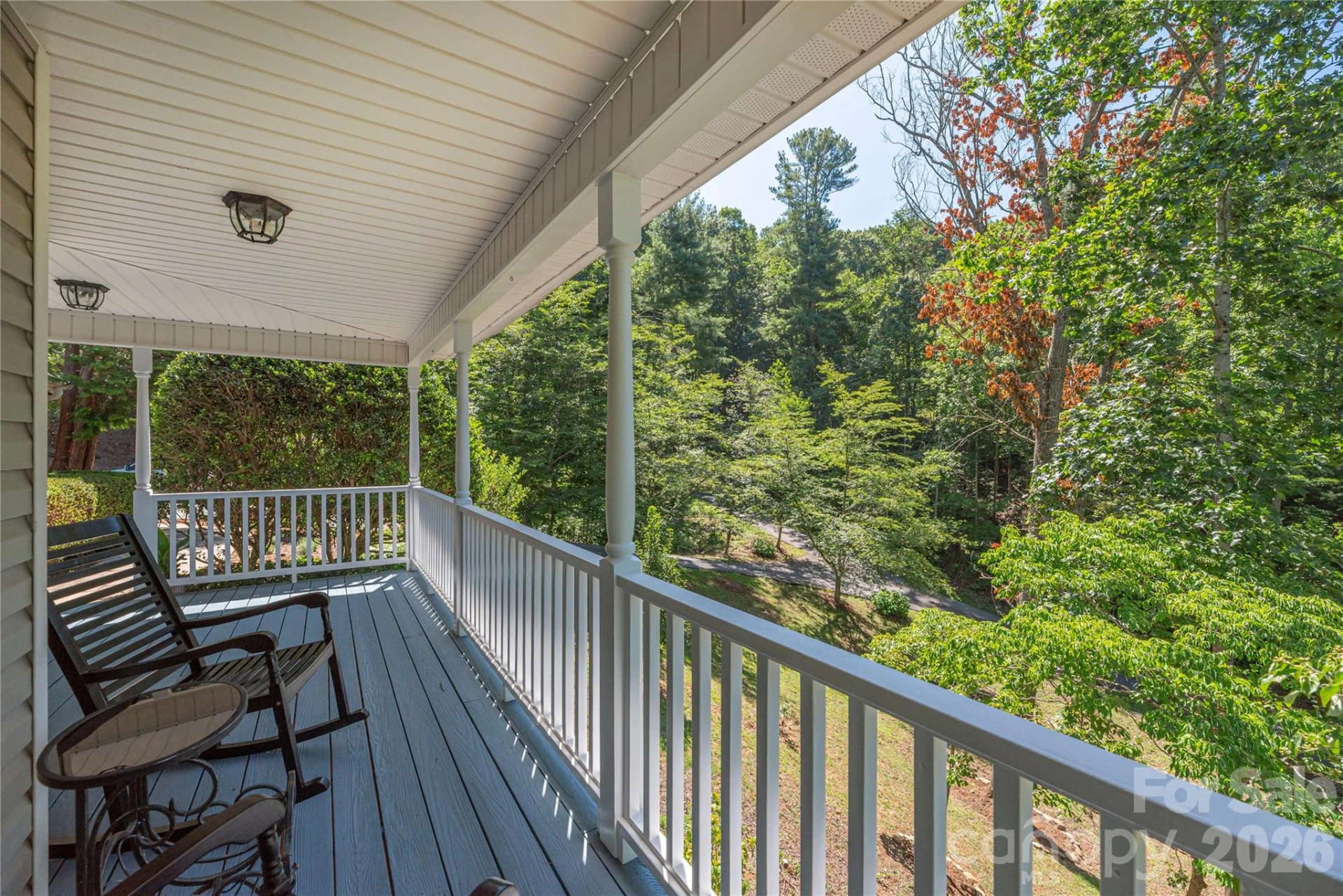 602 Hidden Springs Drive - Photo 5