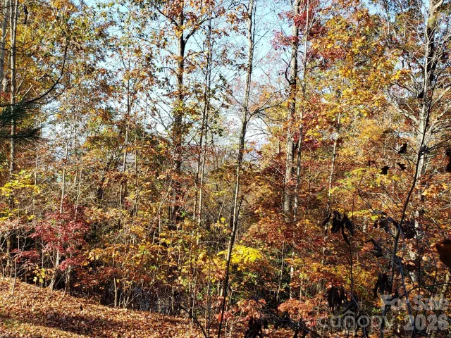 TBD Top Oaks Lane