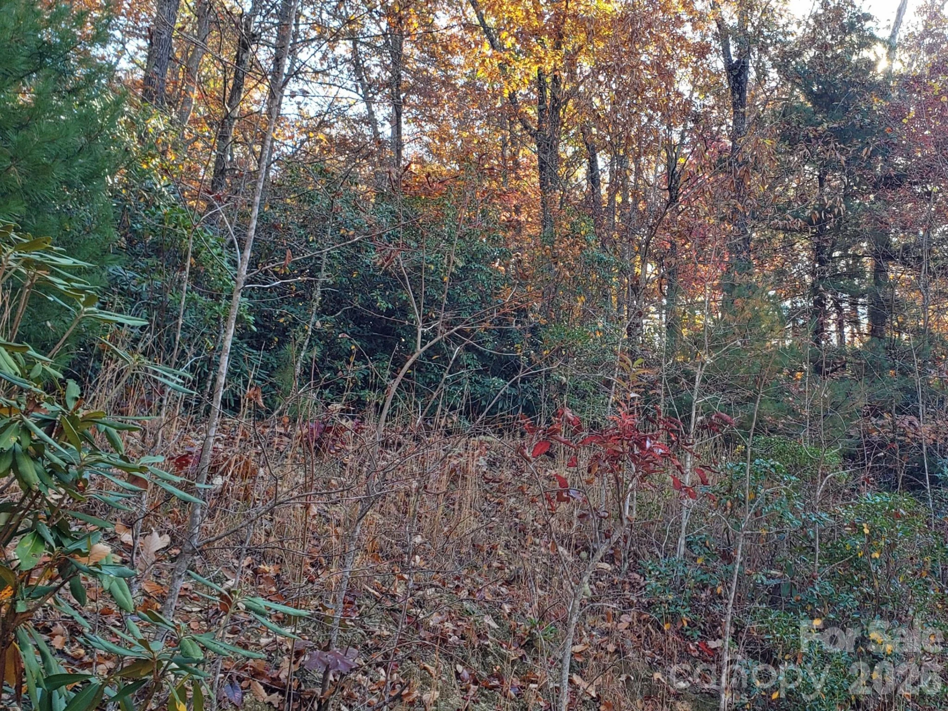 TBD Top Oaks Lane #Lot 58 - Photo 11