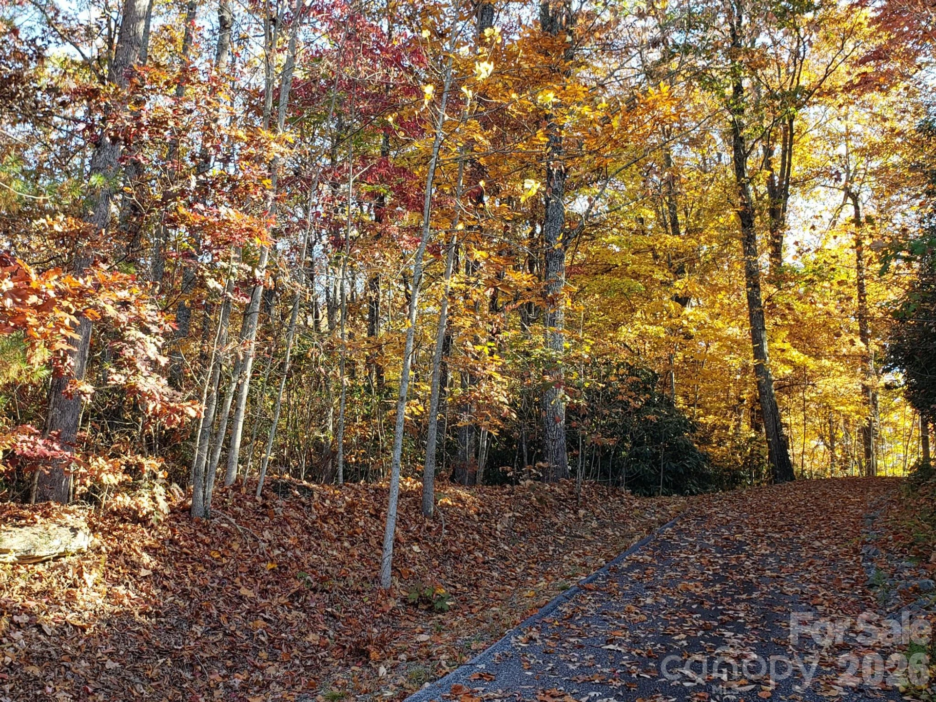 TBD Top Oaks Lane #Lot 58 - Photo 12