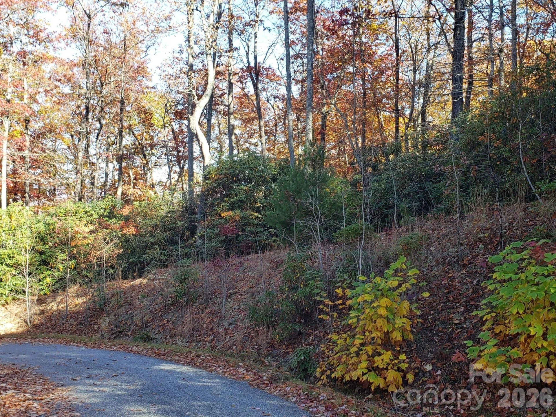 TBD Top Oaks Lane #Lot 58 - Photo 4