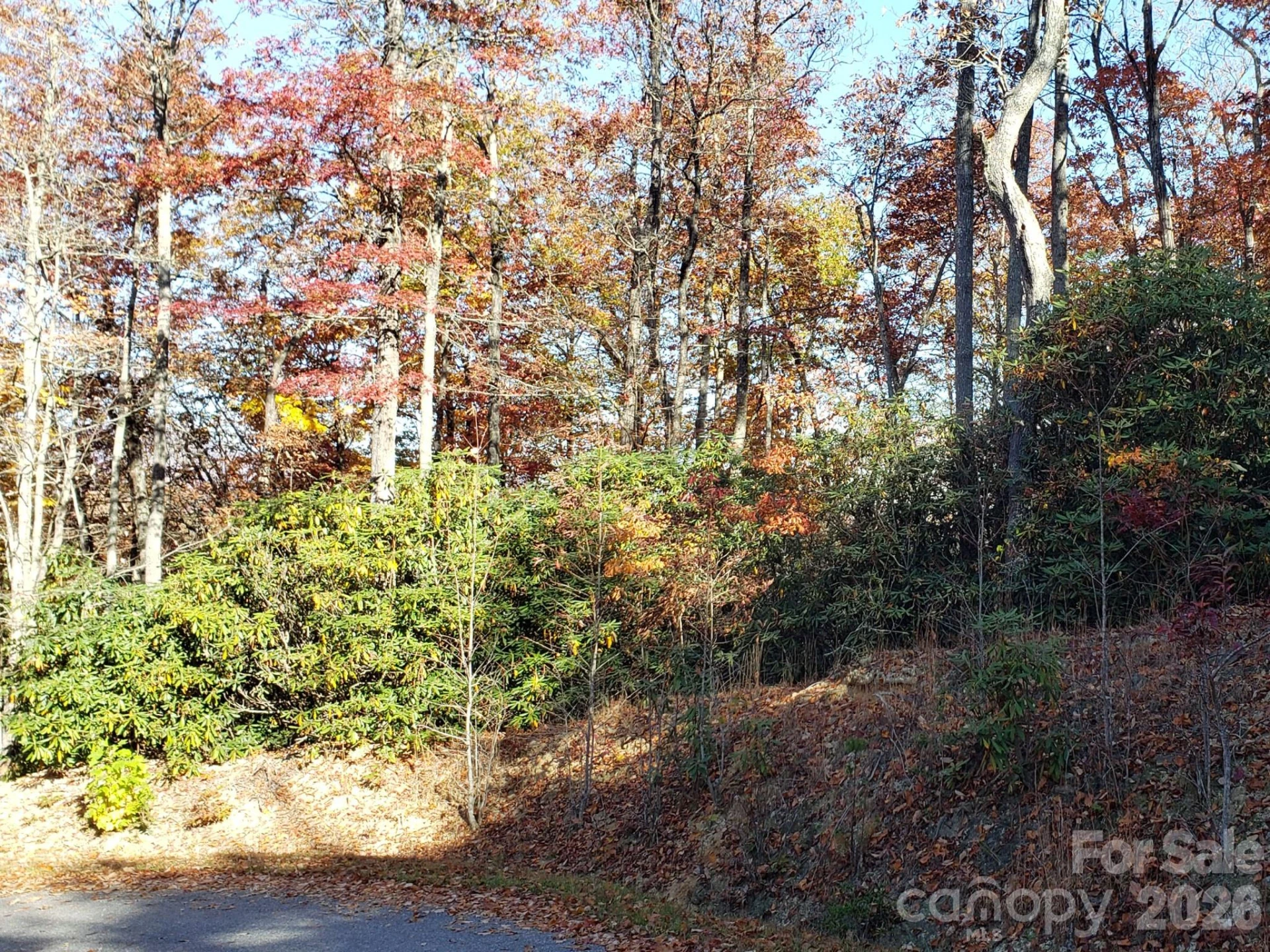 TBD Top Oaks Lane #Lot 58 - Photo 6