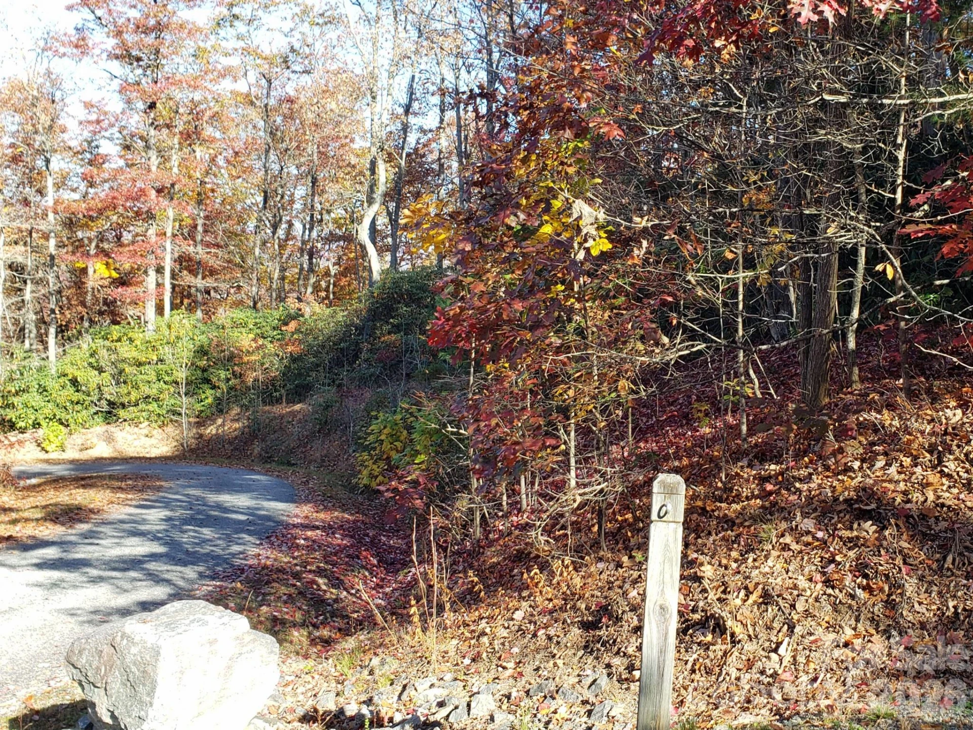 TBD Top Oaks Lane #Lot 58 - Photo 8