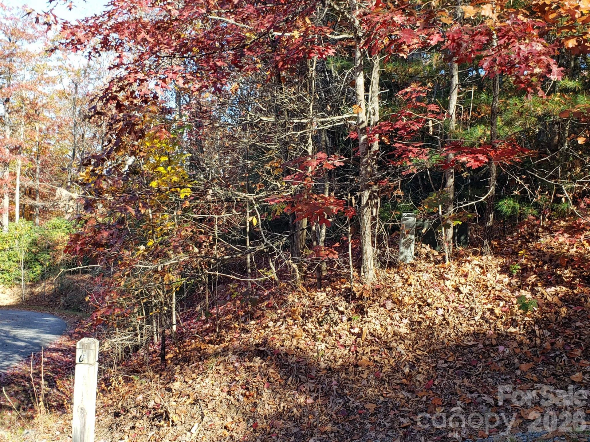 TBD Top Oaks Lane #Lot 58 - Photo 9